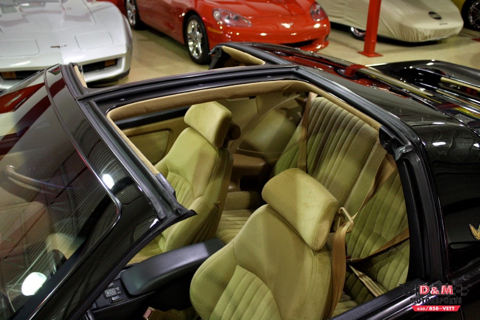 1989 Pontiac Firebird Trans Am GTA