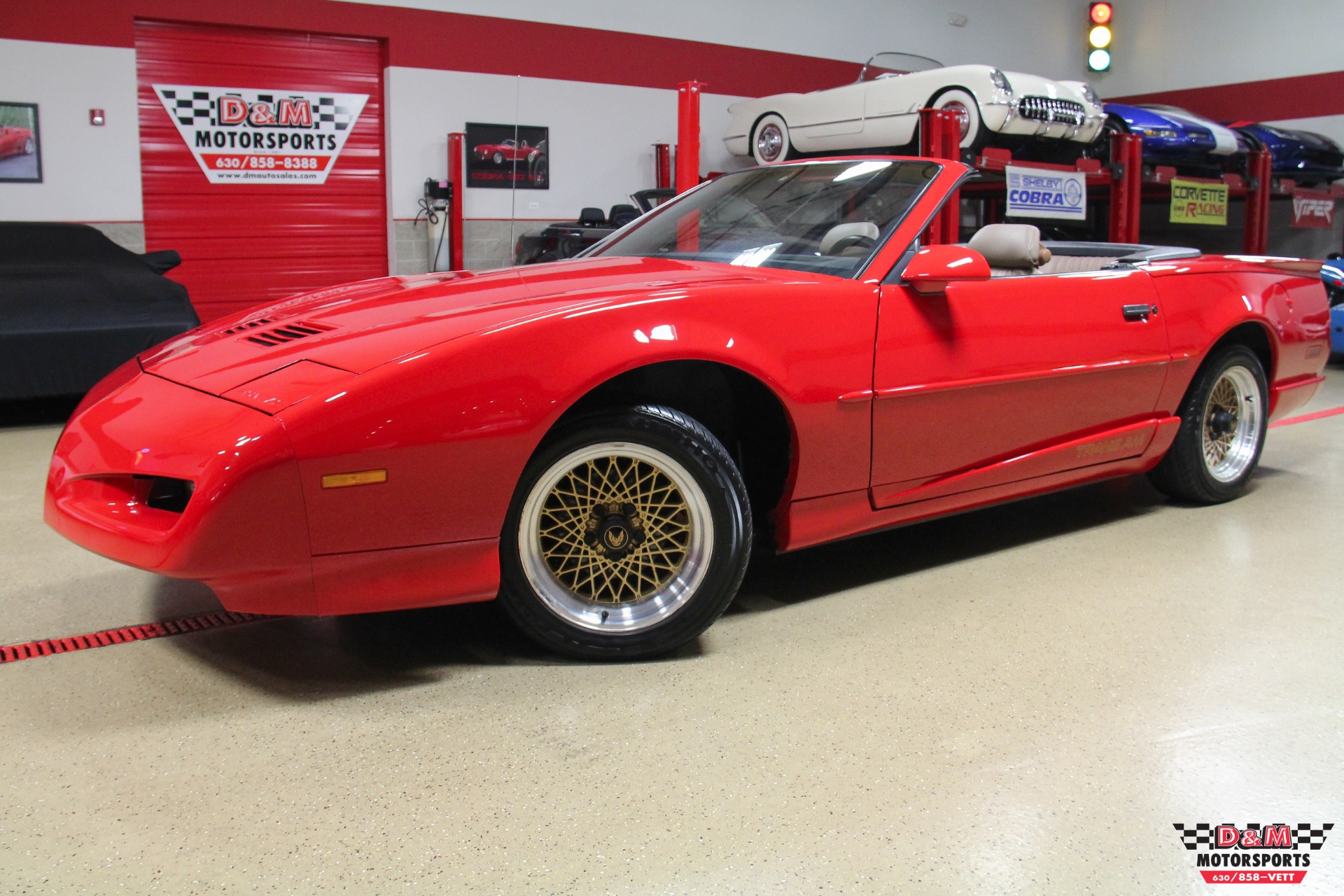 1991 pontiac firebird 1991 pontiac firebird