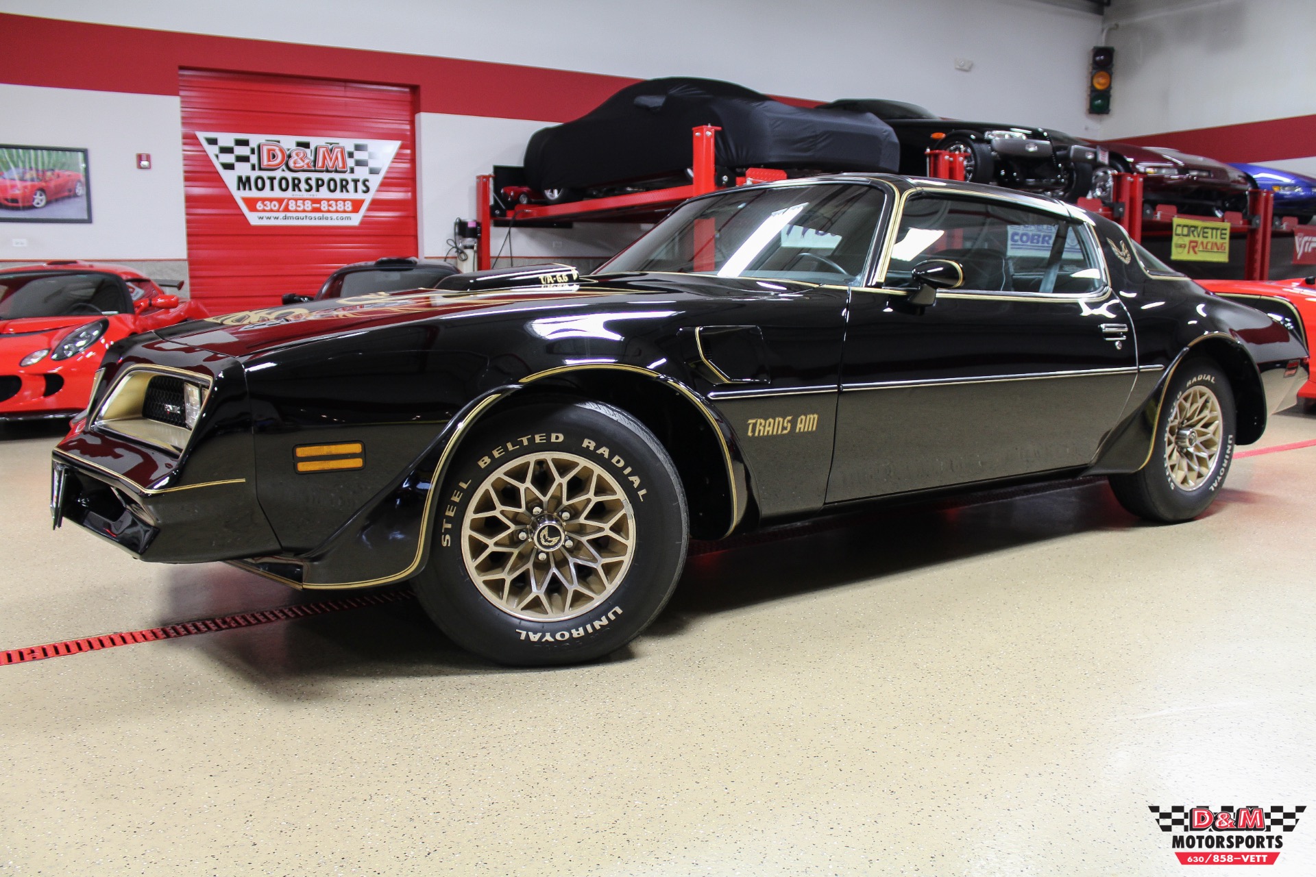 1978 Pontiac Trans AM Special Edition