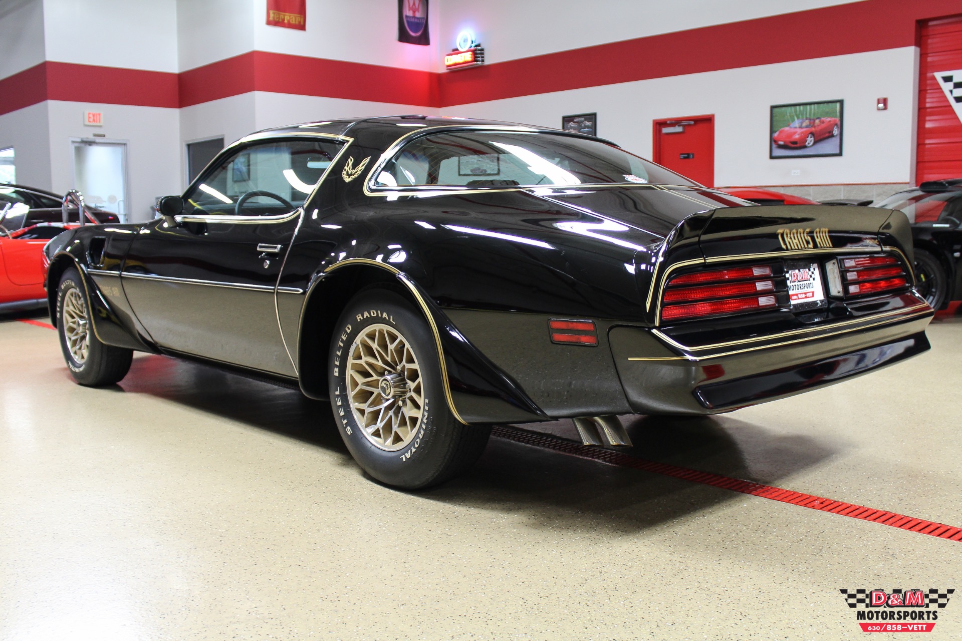 1978 Pontiac Trans AM Special Edition