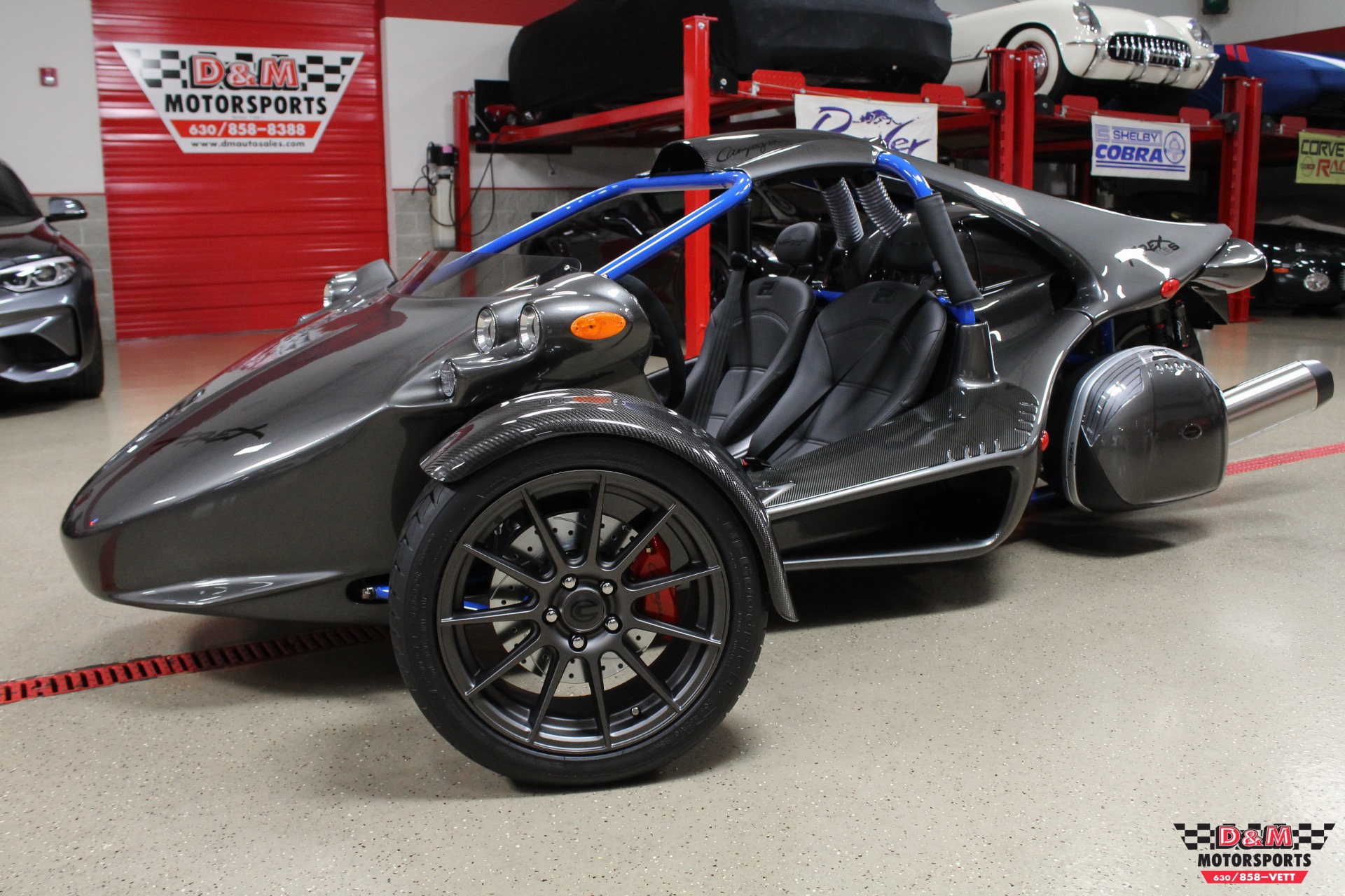 Campagna t Rex