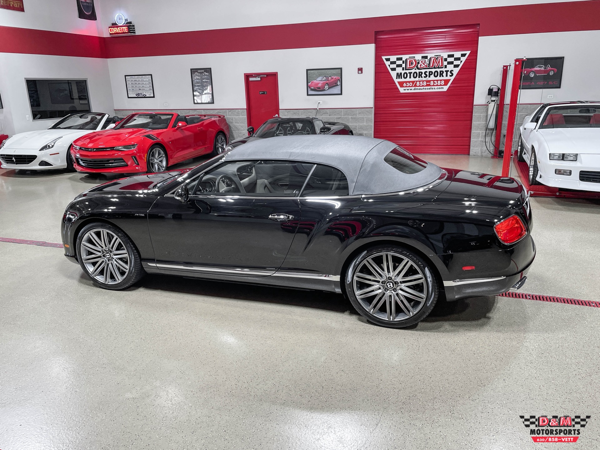 Used 2014 Bentley Continental GT Speed Convertible | St. Petersburg, FL