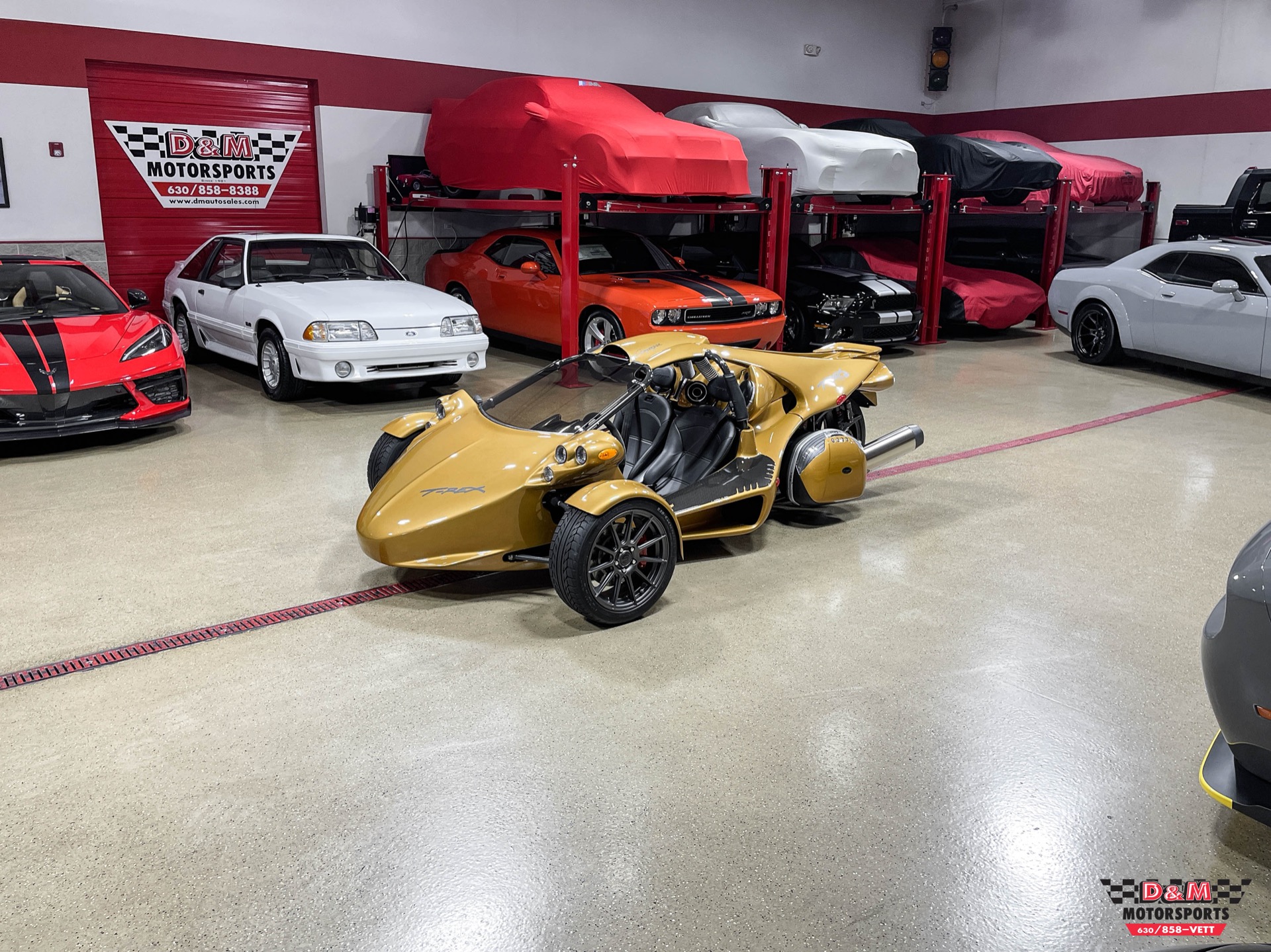 New 2020 Campagna T-Rex 16SP | St. Petersburg, FL