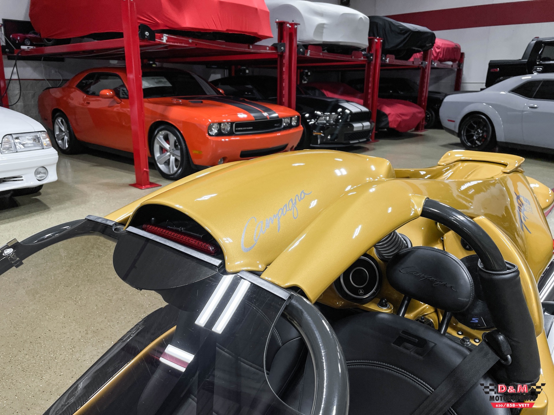 New 2020 Campagna T-Rex 16SP | St. Petersburg, FL