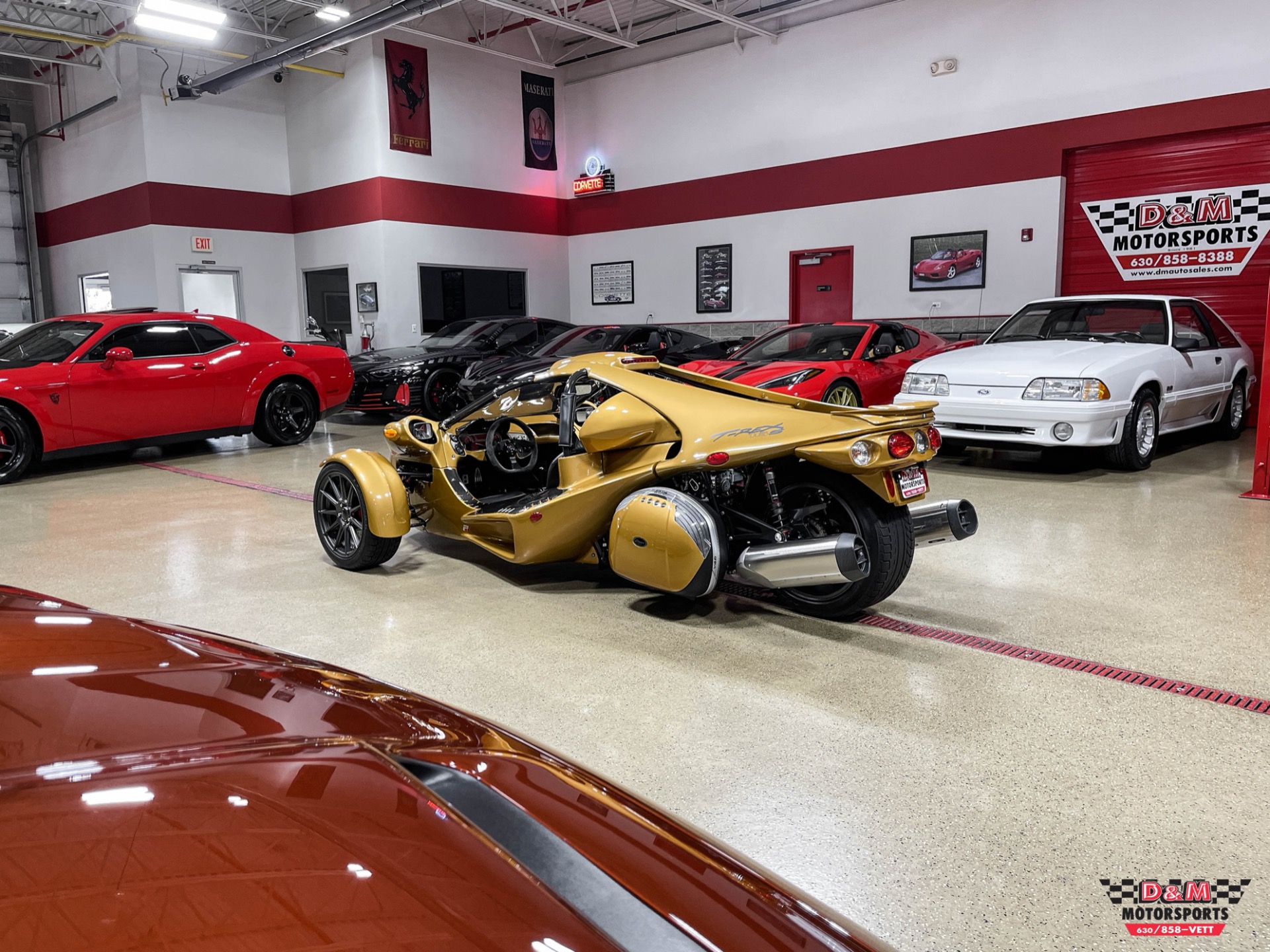 New 2020 Campagna T-Rex 16SP | St. Petersburg, FL
