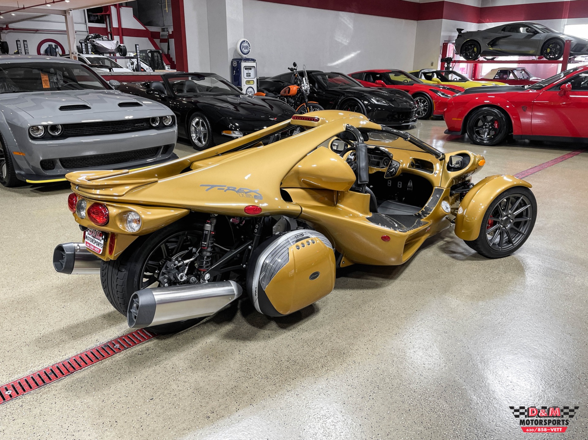 New 2020 Campagna T-Rex 16SP | St. Petersburg, FL