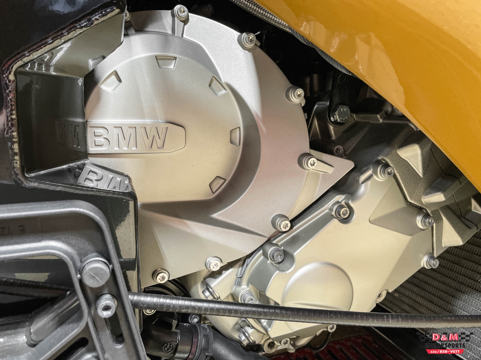 New 2020 Campagna T-Rex 16SP | St. Petersburg, FL