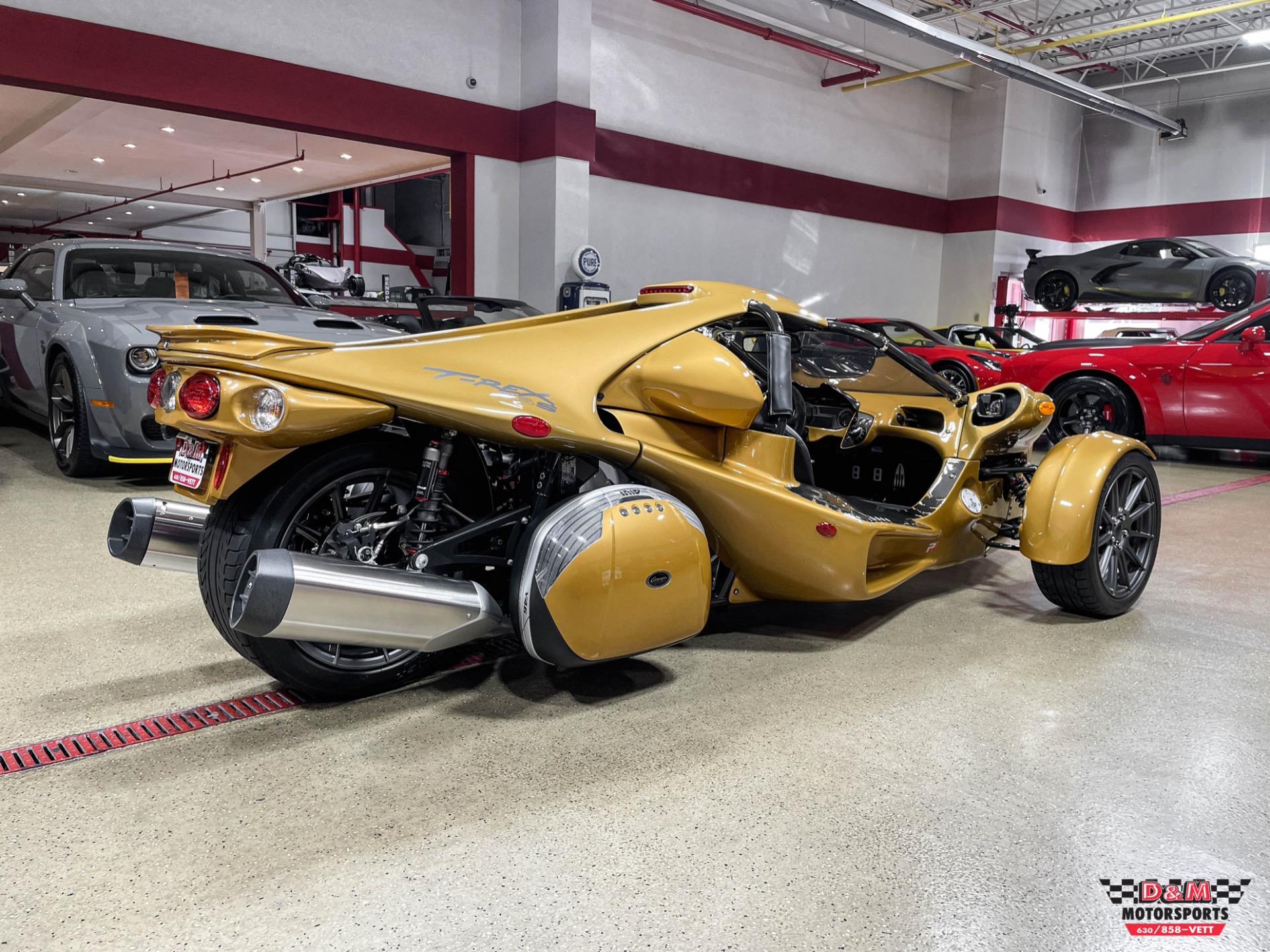 New 2020 Campagna T-Rex 16SP | St. Petersburg, FL