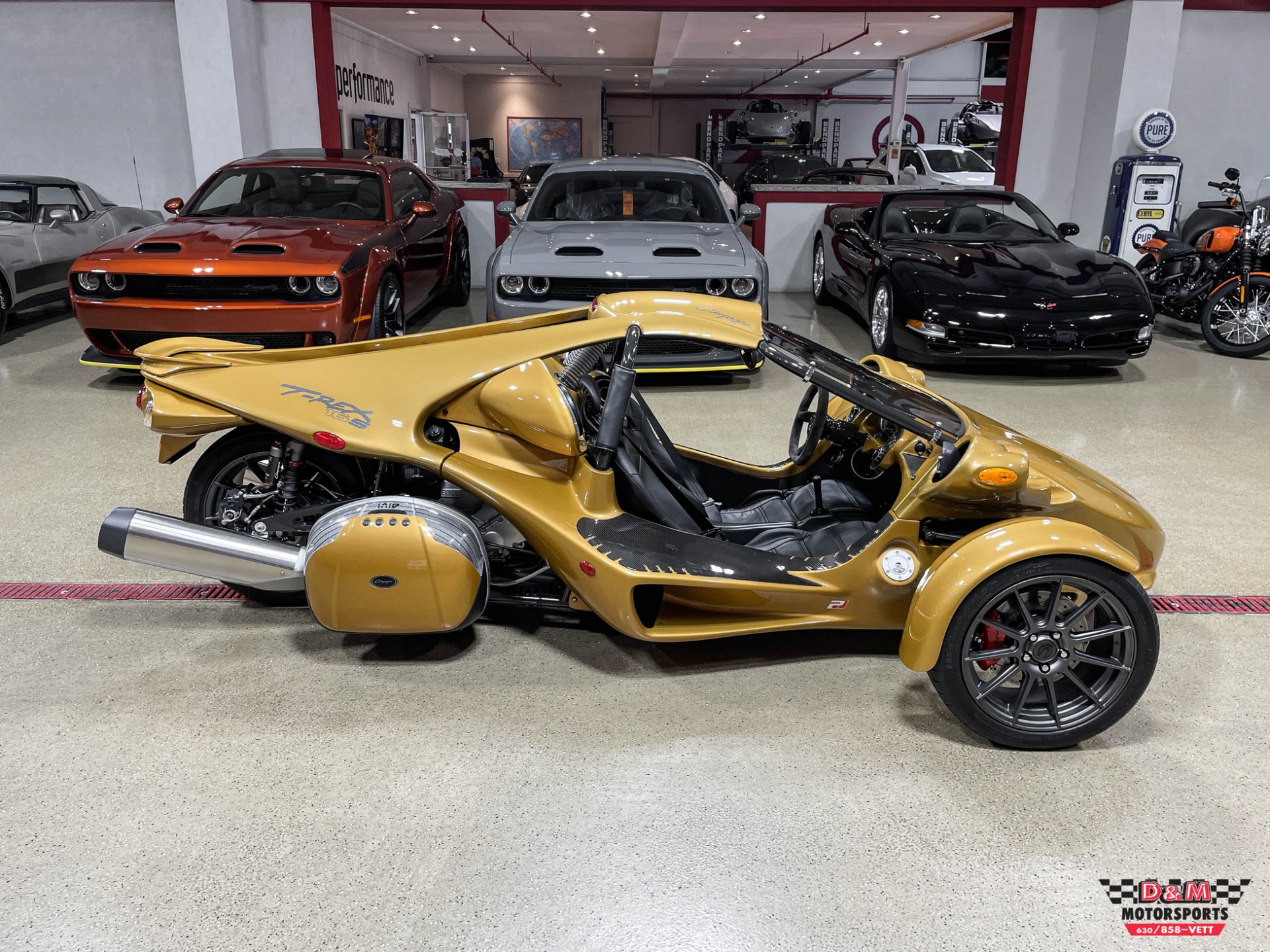 New 2020 Campagna T-Rex 16SP | St. Petersburg, FL