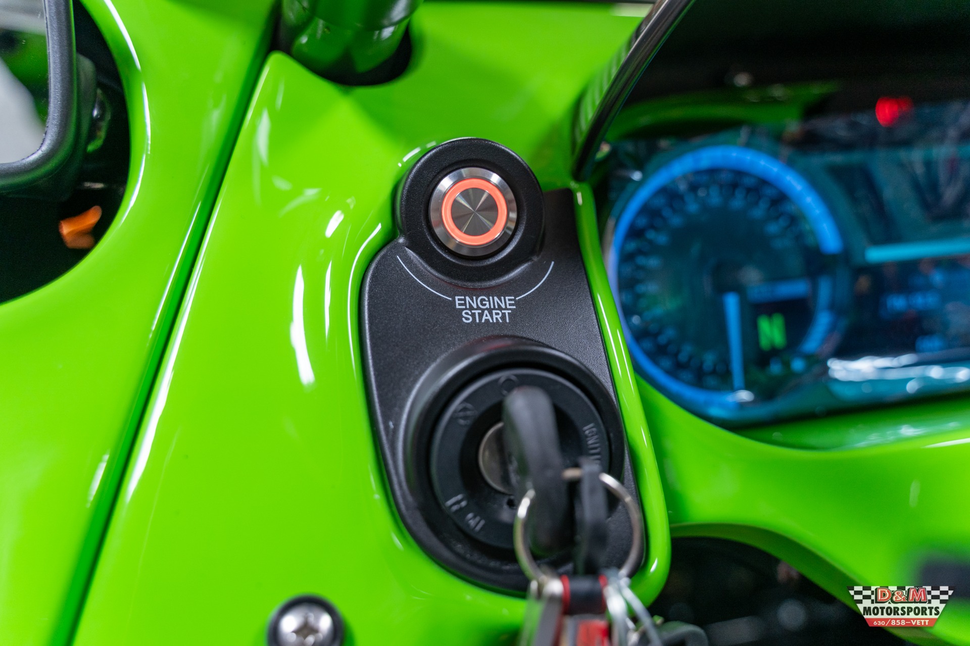 New 2020 Campagna T-Rex 16SP | St. Petersburg, FL