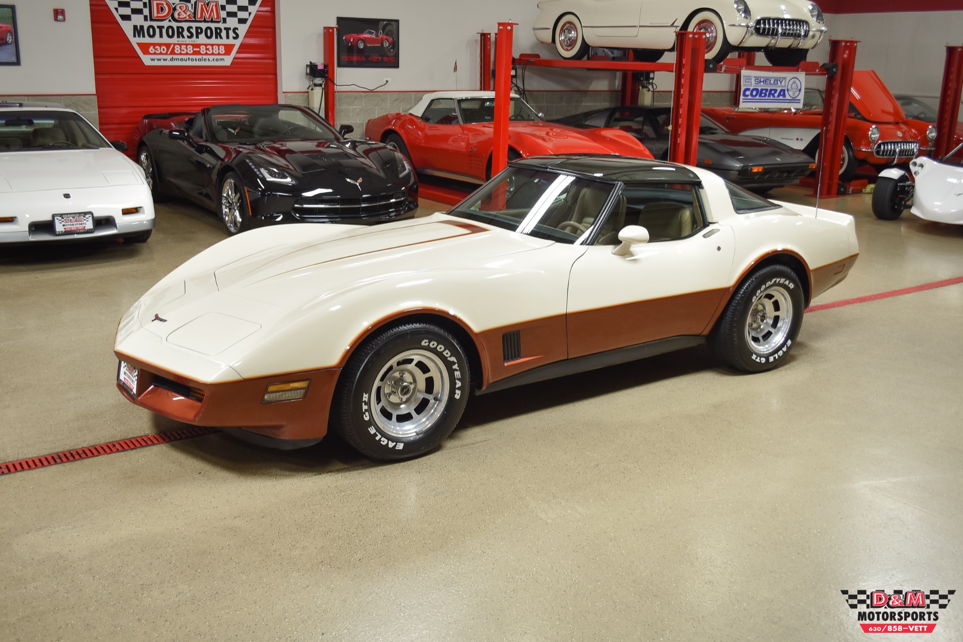 Used 1981 Chevrolet Corvette | St. Petersburg, FL