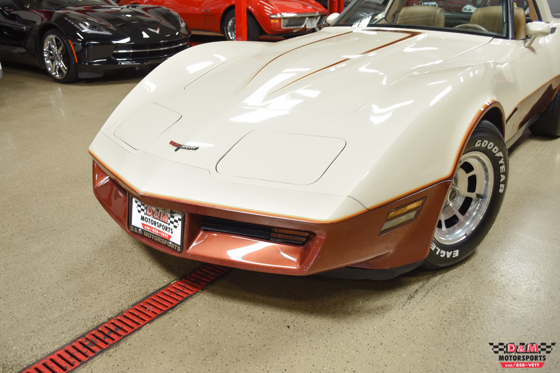 Used 1981 Chevrolet Corvette | St. Petersburg, FL