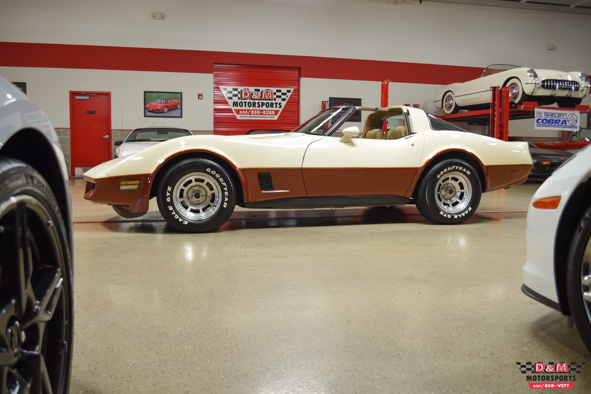 Used 1981 Chevrolet Corvette | St. Petersburg, FL