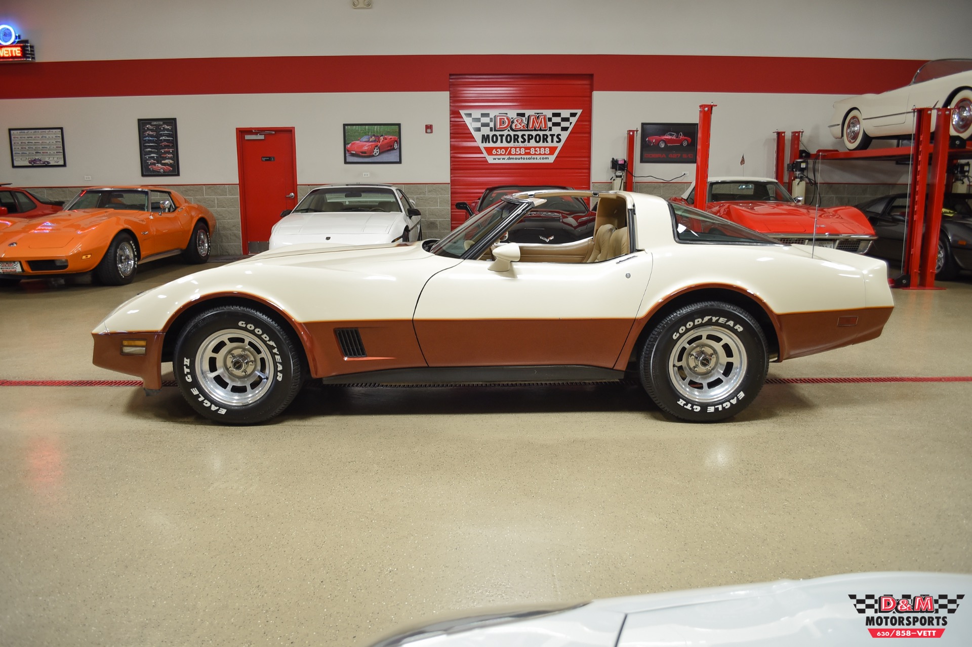 Used 1981 Chevrolet Corvette | St. Petersburg, FL