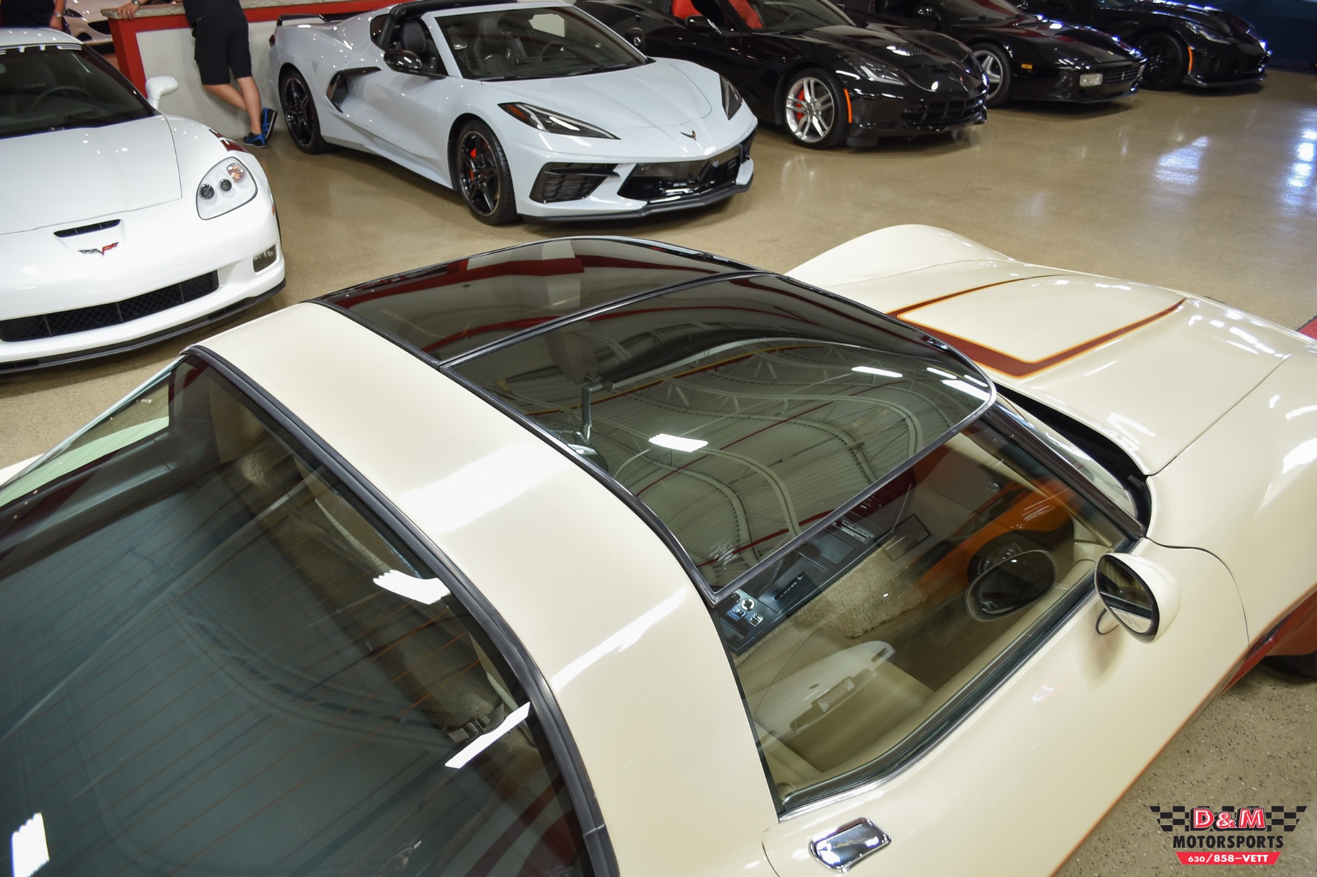 Used 1981 Chevrolet Corvette | St. Petersburg, FL