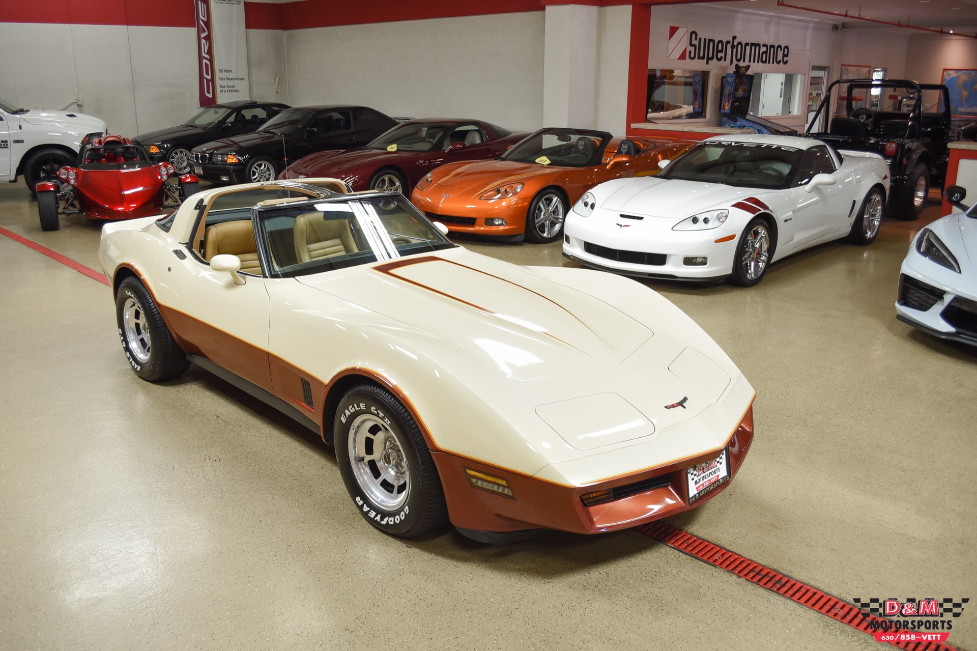 Used 1981 Chevrolet Corvette | St. Petersburg, FL