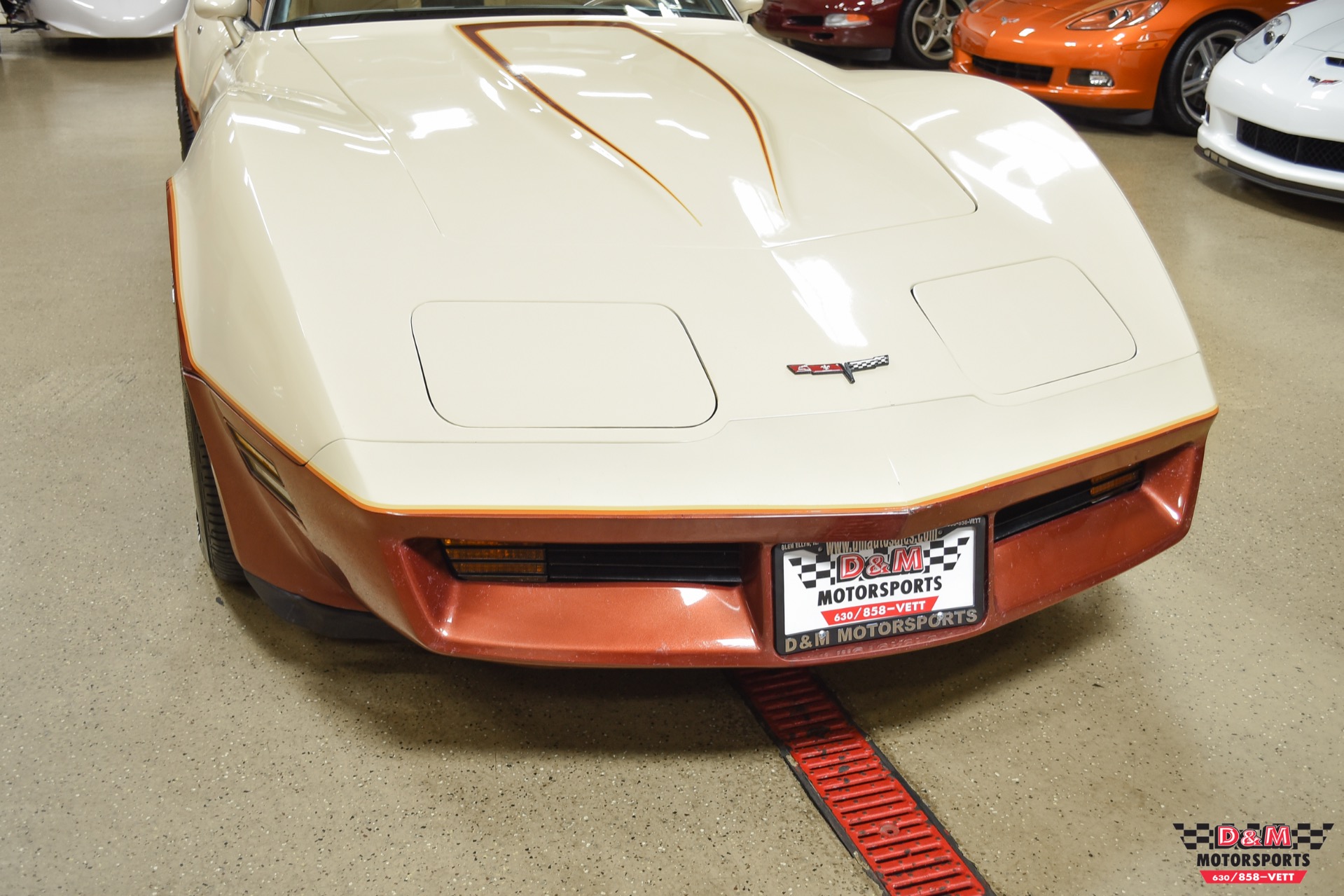 Used 1981 Chevrolet Corvette | St. Petersburg, FL
