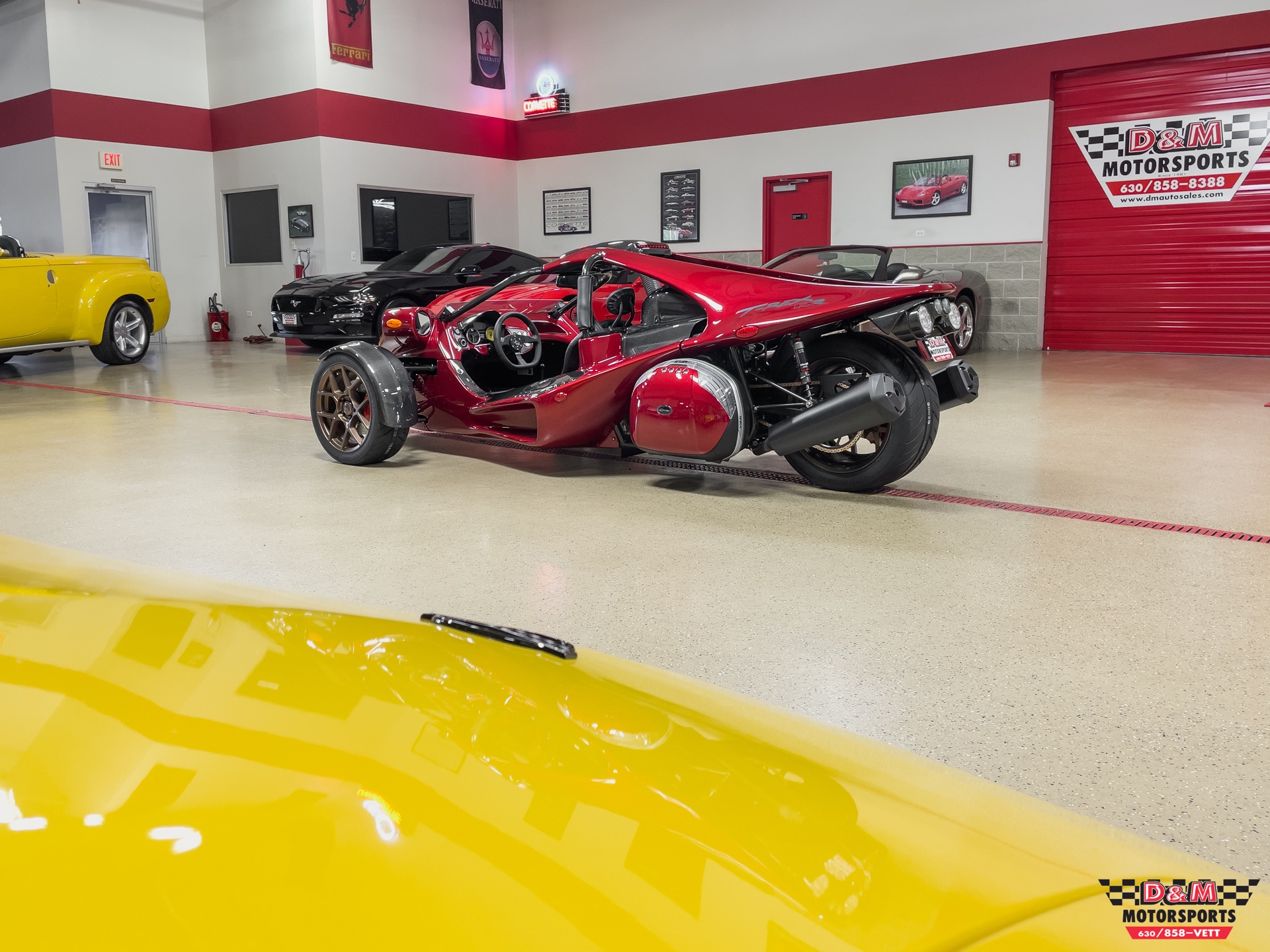 New 2021 Campagna T-Rex RR | St. Petersburg, FL