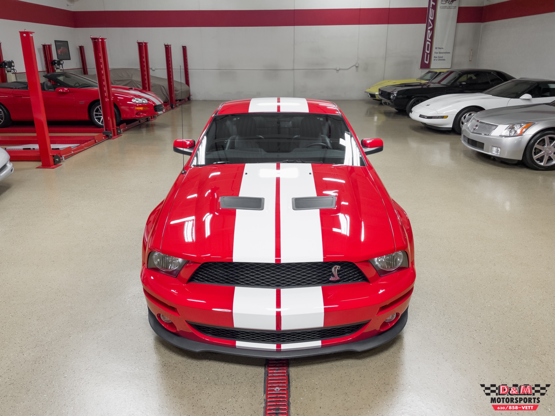 Used 2008 Ford Shelby GT500 Coupe | St. Petersburg, FL