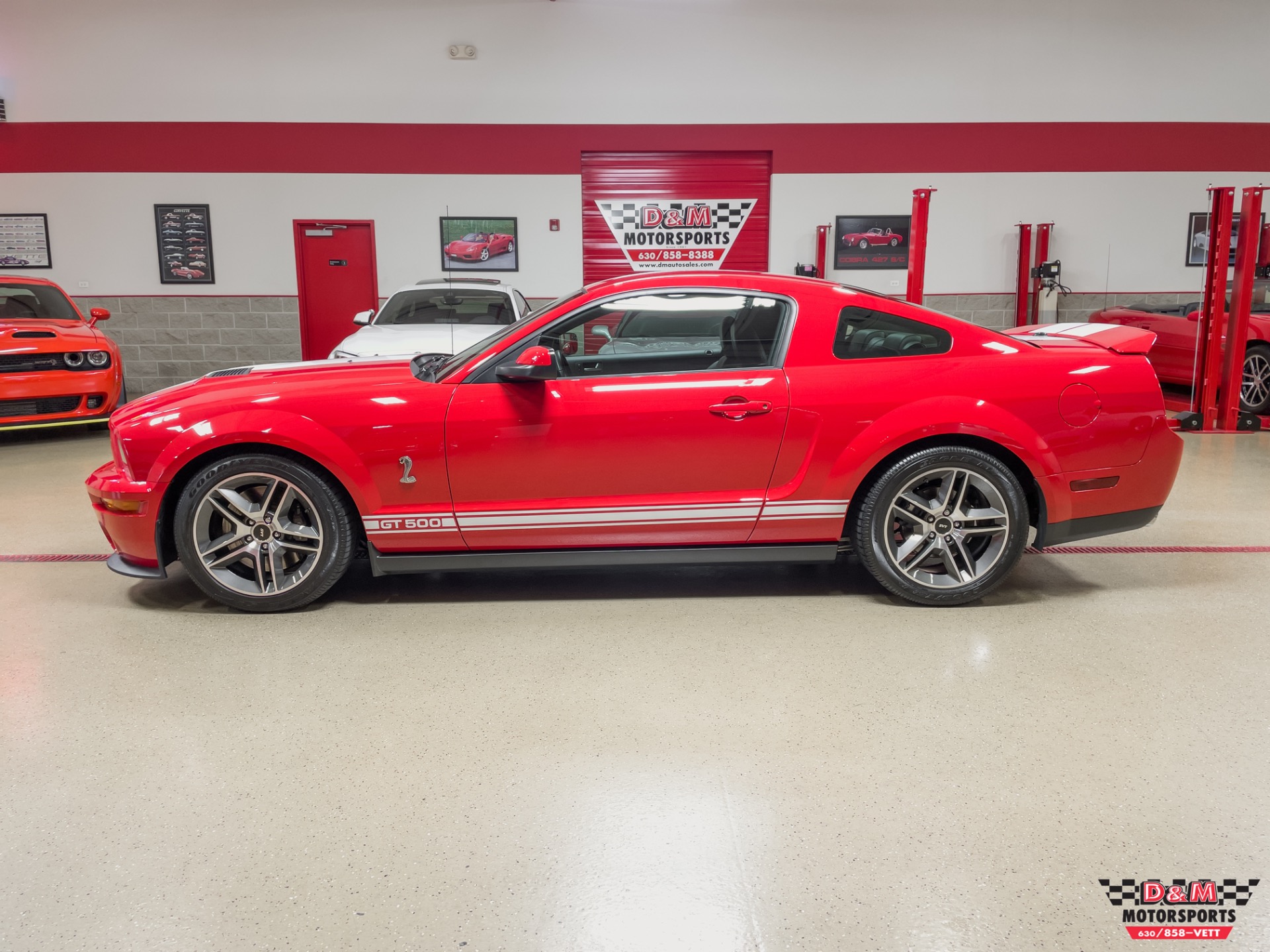 Used 2008 Ford Shelby GT500 Coupe | St. Petersburg, FL