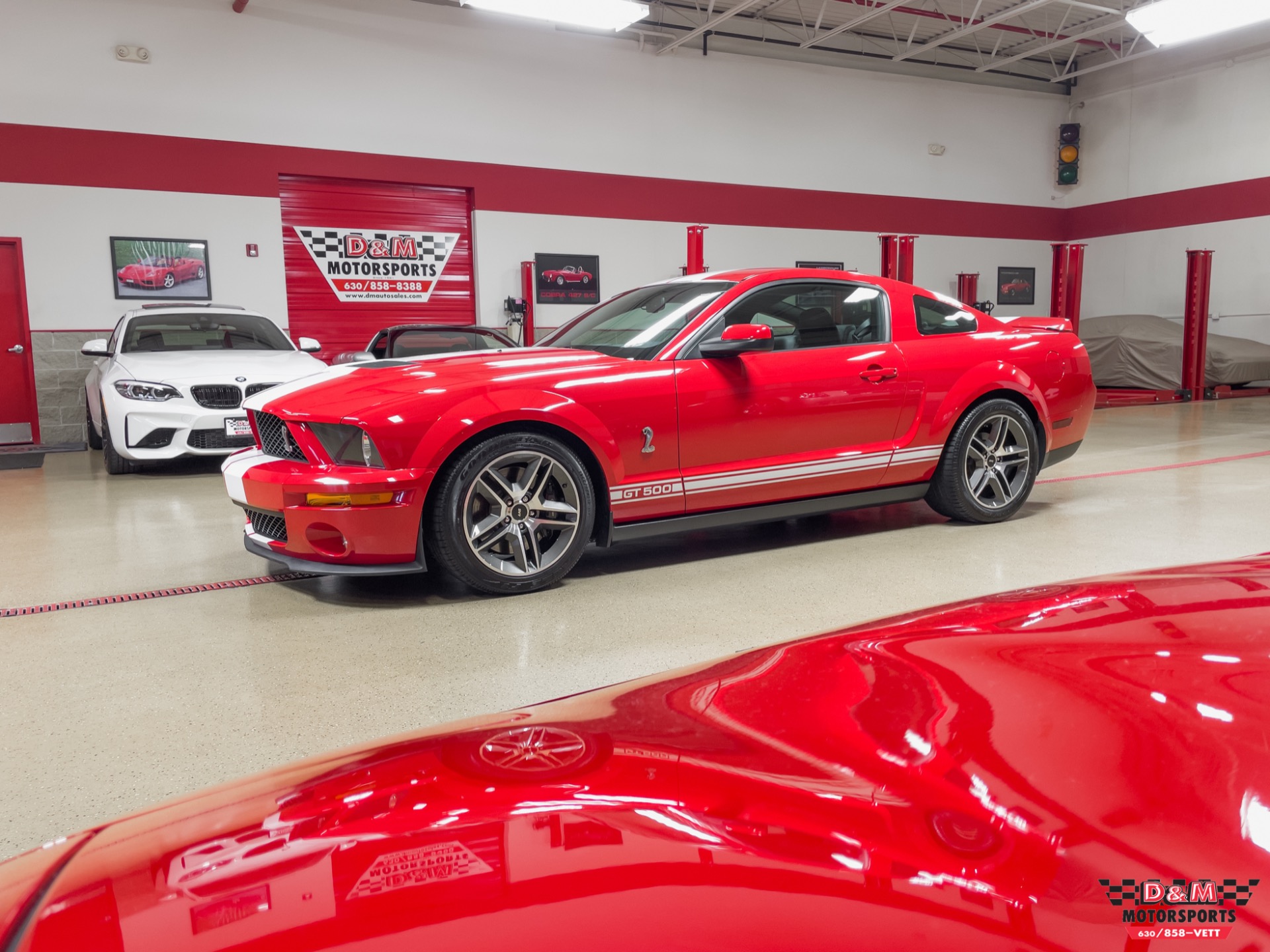 Used 2008 Ford Shelby GT500 Coupe | St. Petersburg, FL