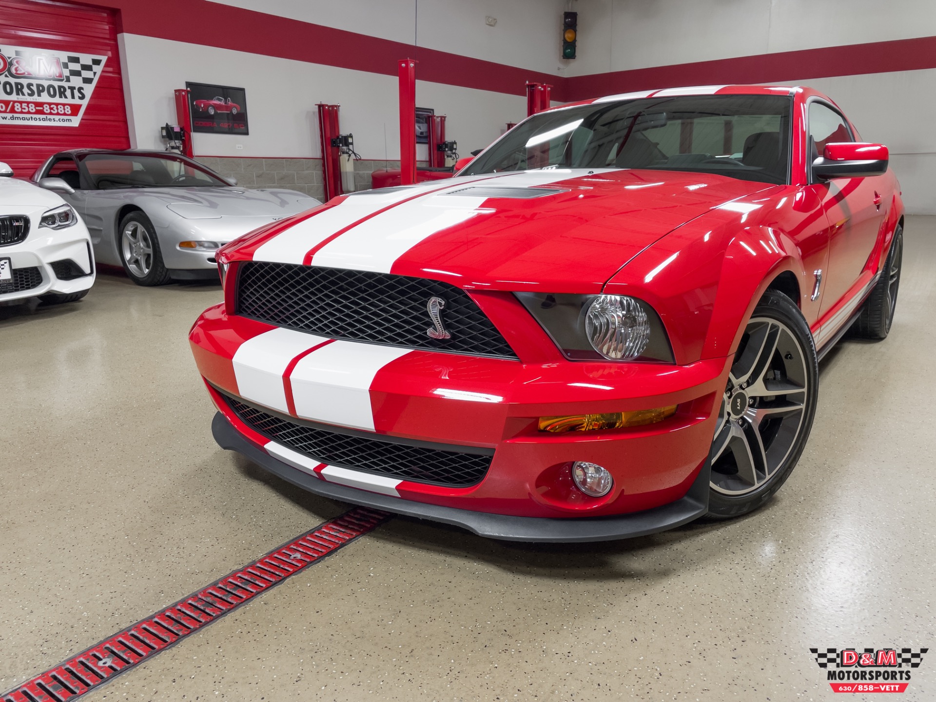 Used 2008 Ford Shelby GT500 Coupe | St. Petersburg, FL