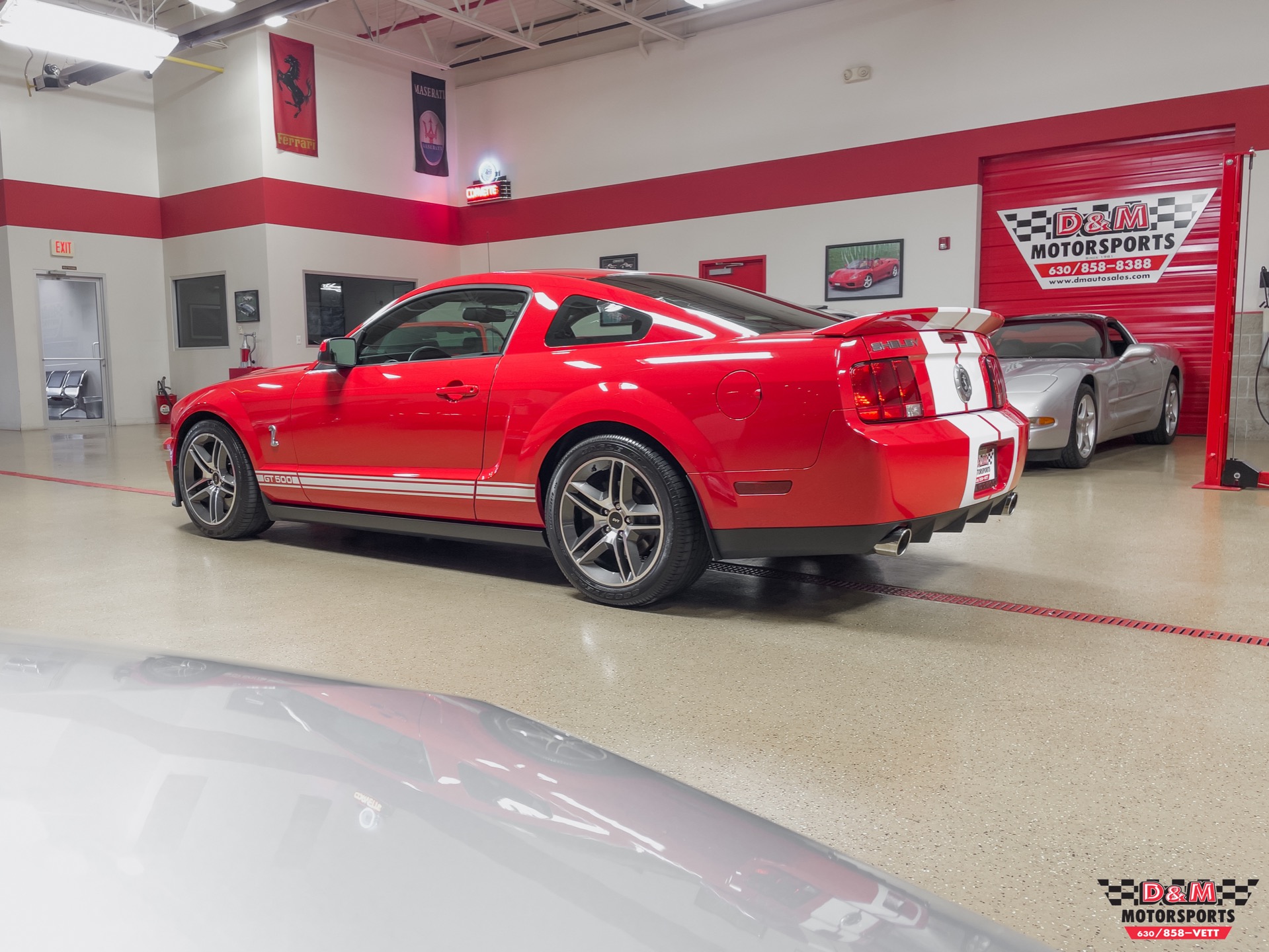Used 2008 Ford Shelby GT500 Coupe | St. Petersburg, FL