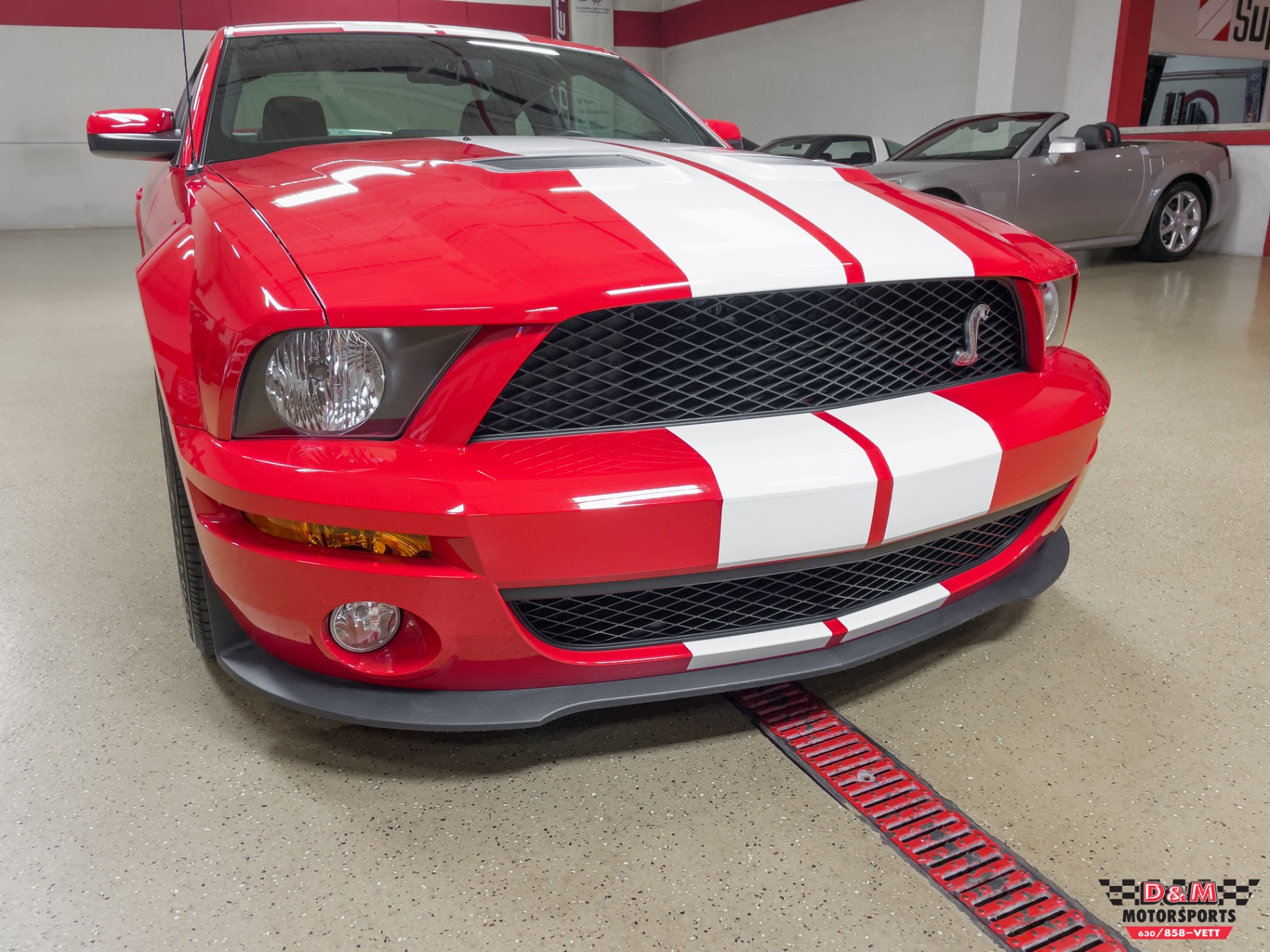 Used 2008 Ford Shelby GT500 Coupe | St. Petersburg, FL