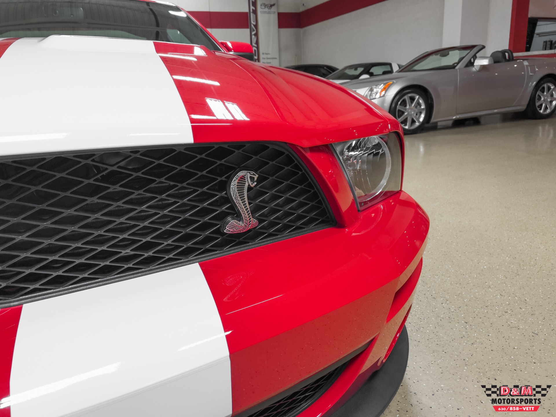 Used 2008 Ford Shelby GT500 Coupe | St. Petersburg, FL