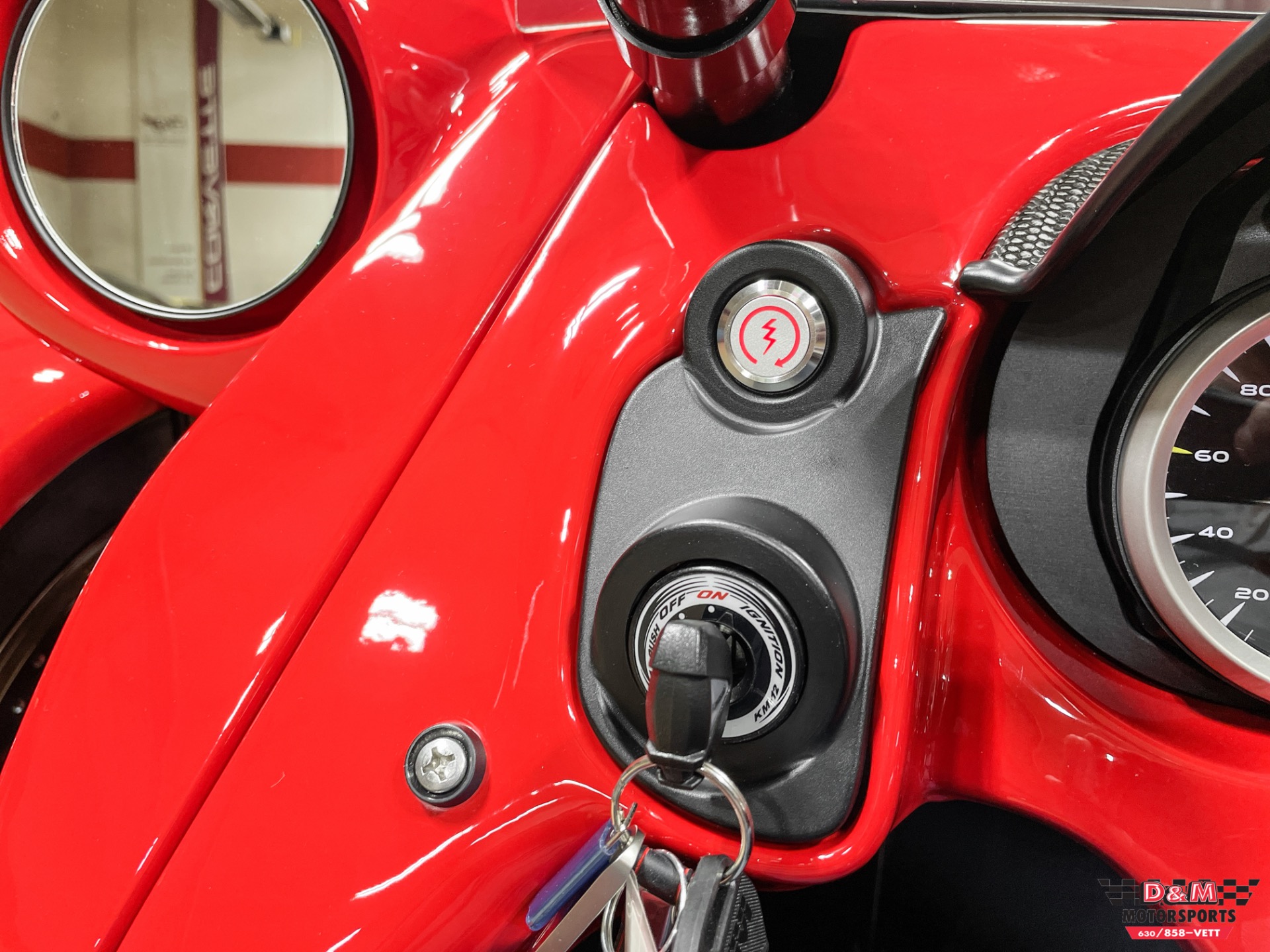 New 2022 Campagna T-Rex RR | St. Petersburg, FL