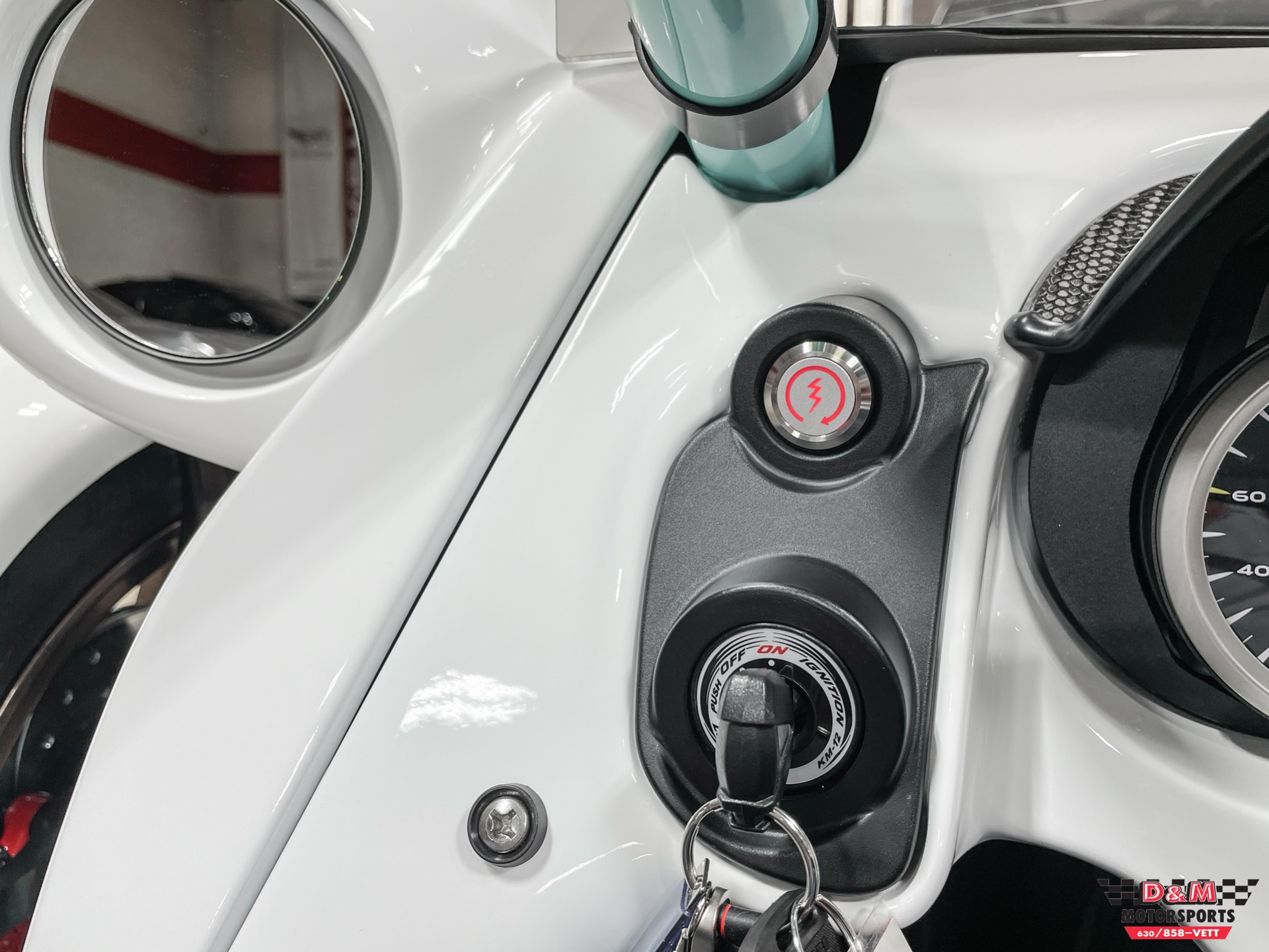 New 2022 Campagna T-Rex RR | St. Petersburg, FL