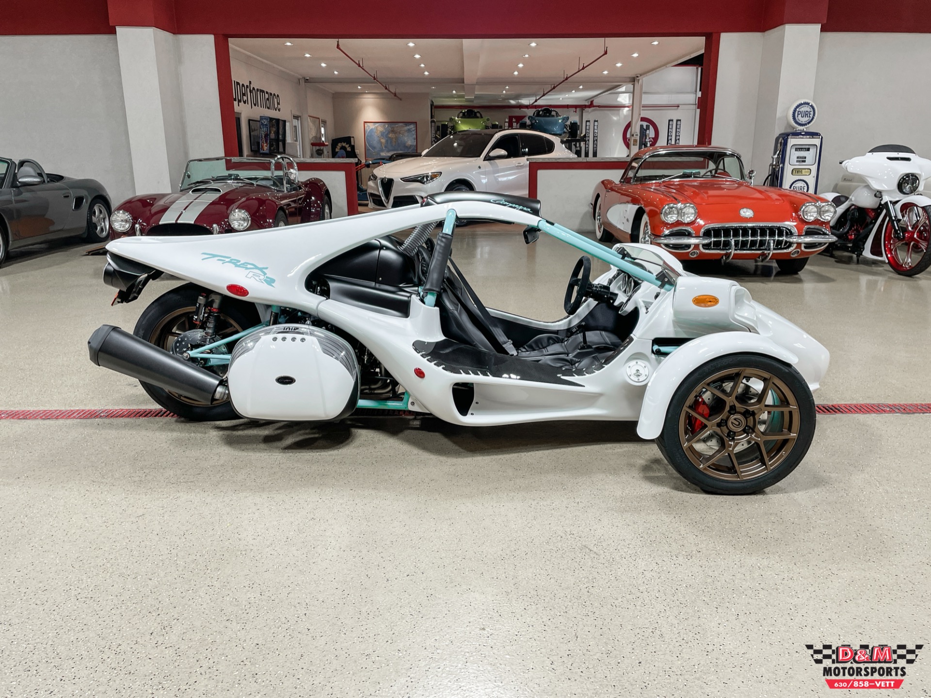 New 2022 Campagna T-Rex RR | St. Petersburg, FL