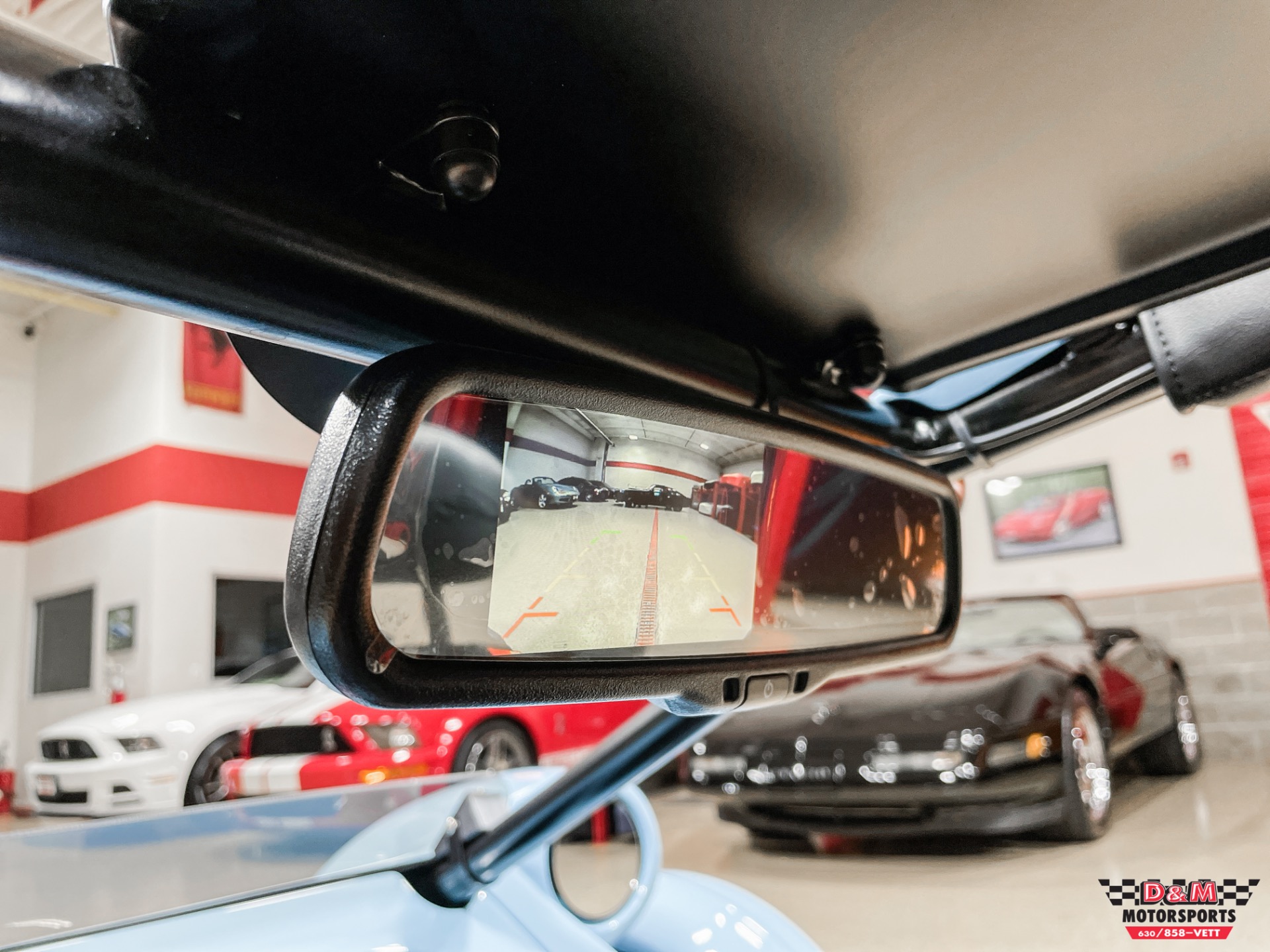 New 2022 Campagna T-Rex RR | St. Petersburg, FL