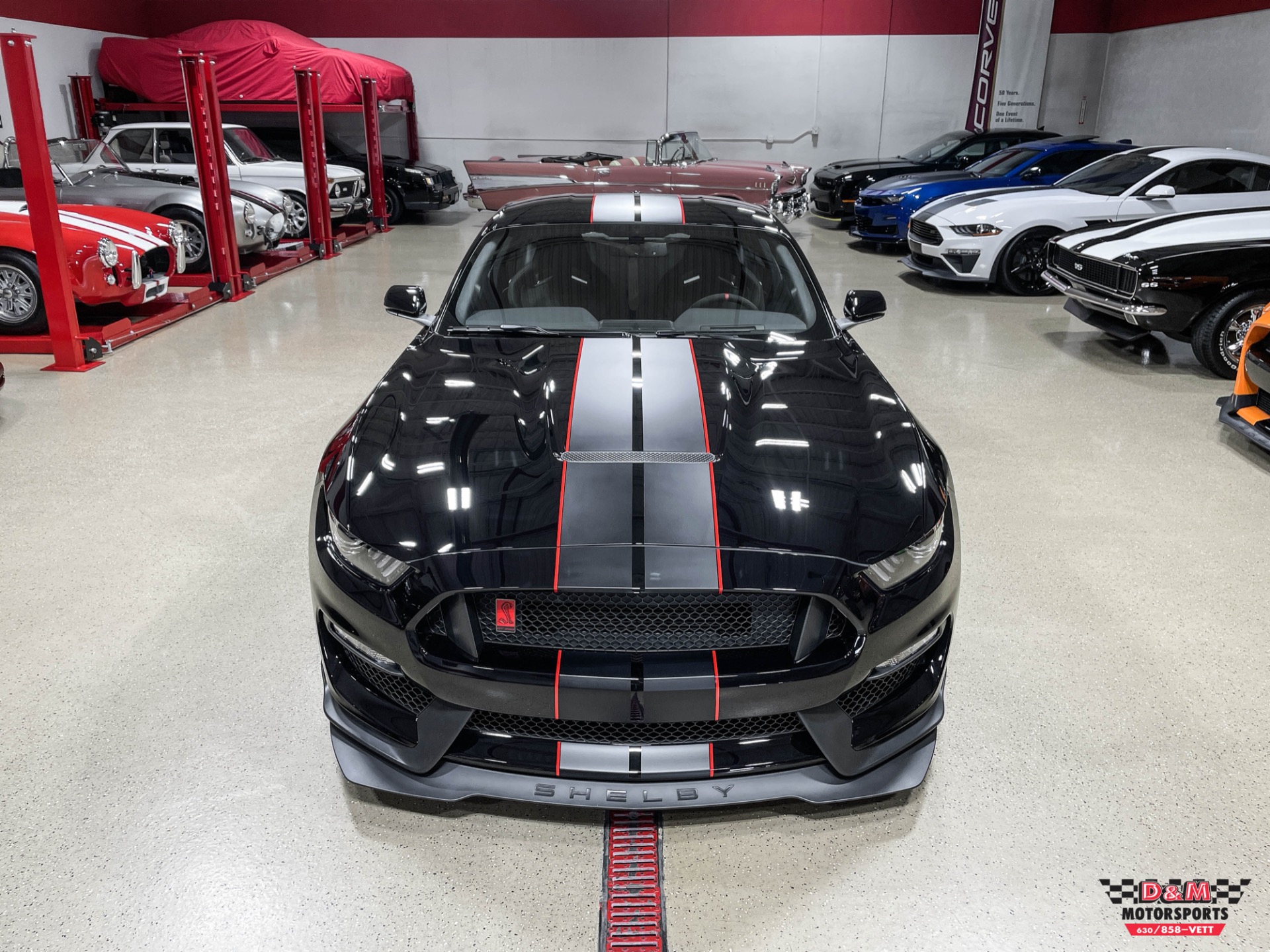 Used 2018 Ford Mustang Shelby GT350R | St. Petersburg, FL