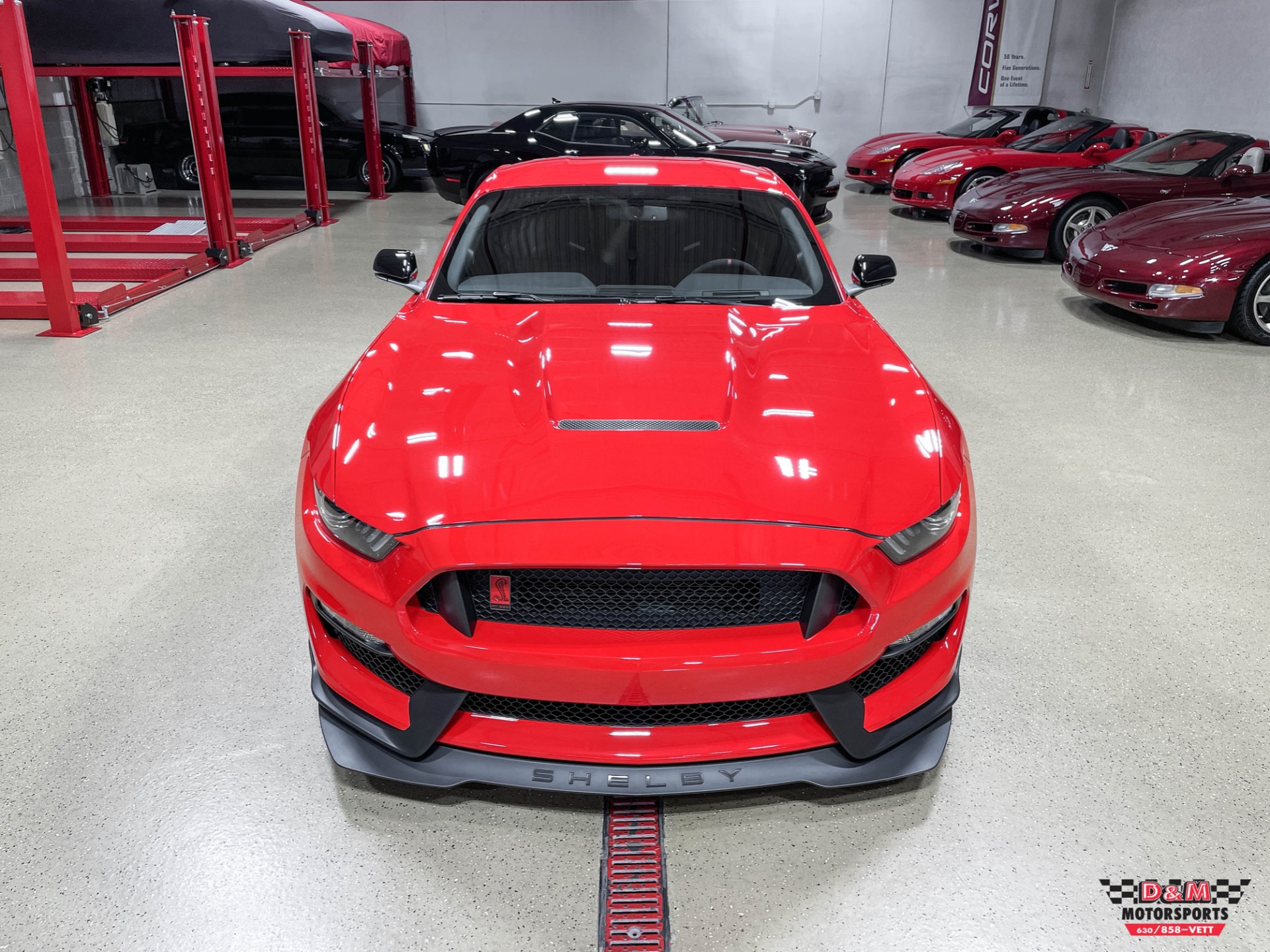 Used 2019 Ford Mustang Shelby GT350R | Glen Ellyn, IL
