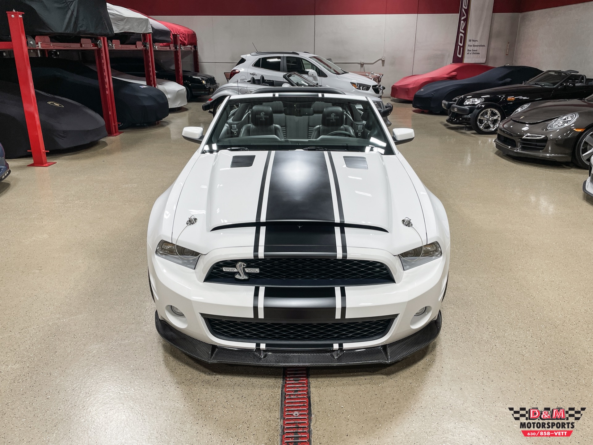 Used 2011 Ford Shelby GT500 Super Snake Convertible | Glen Ellyn, IL