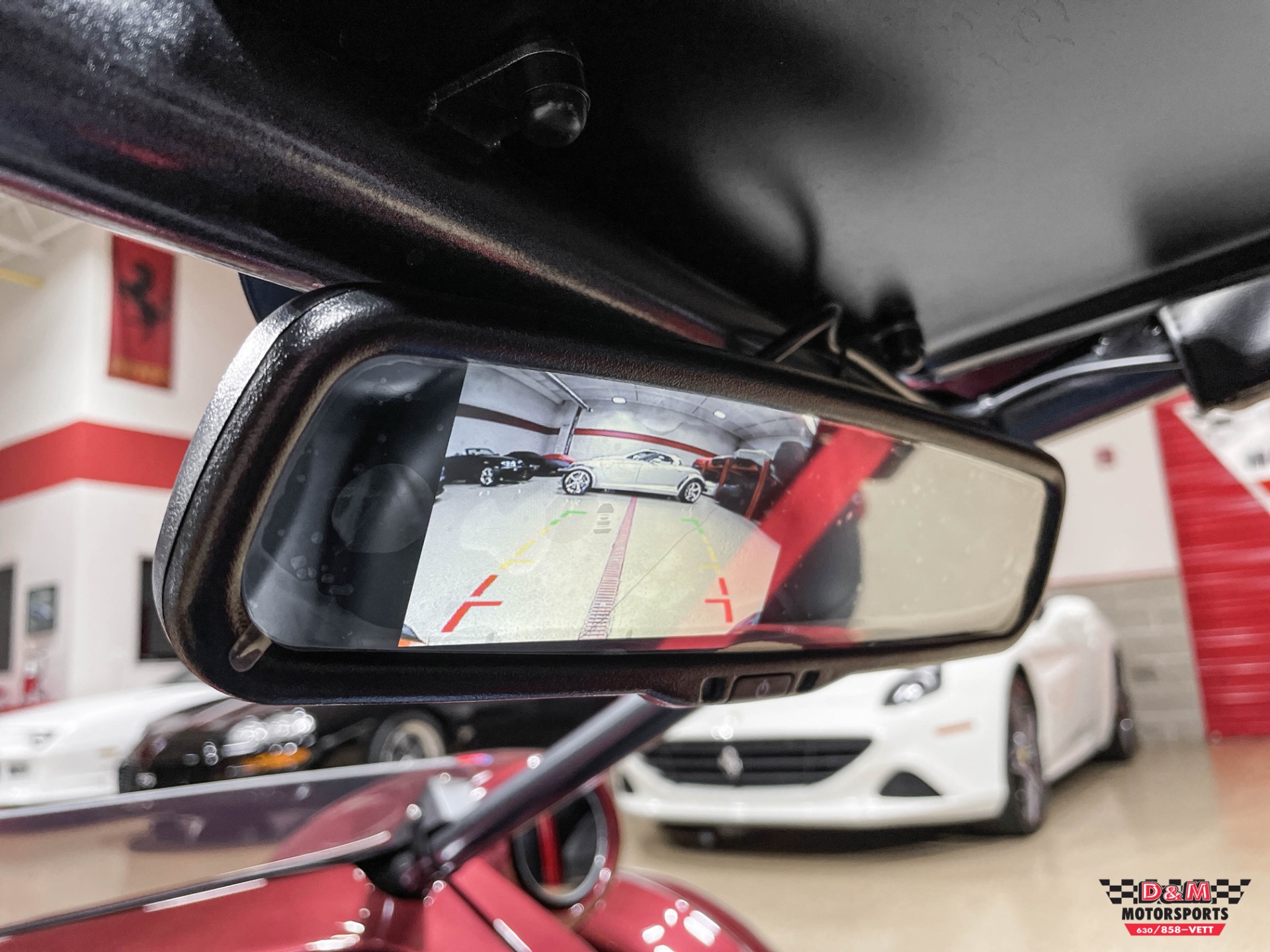 New 2023 Campagna T-Rex RR | St. Petersburg, FL