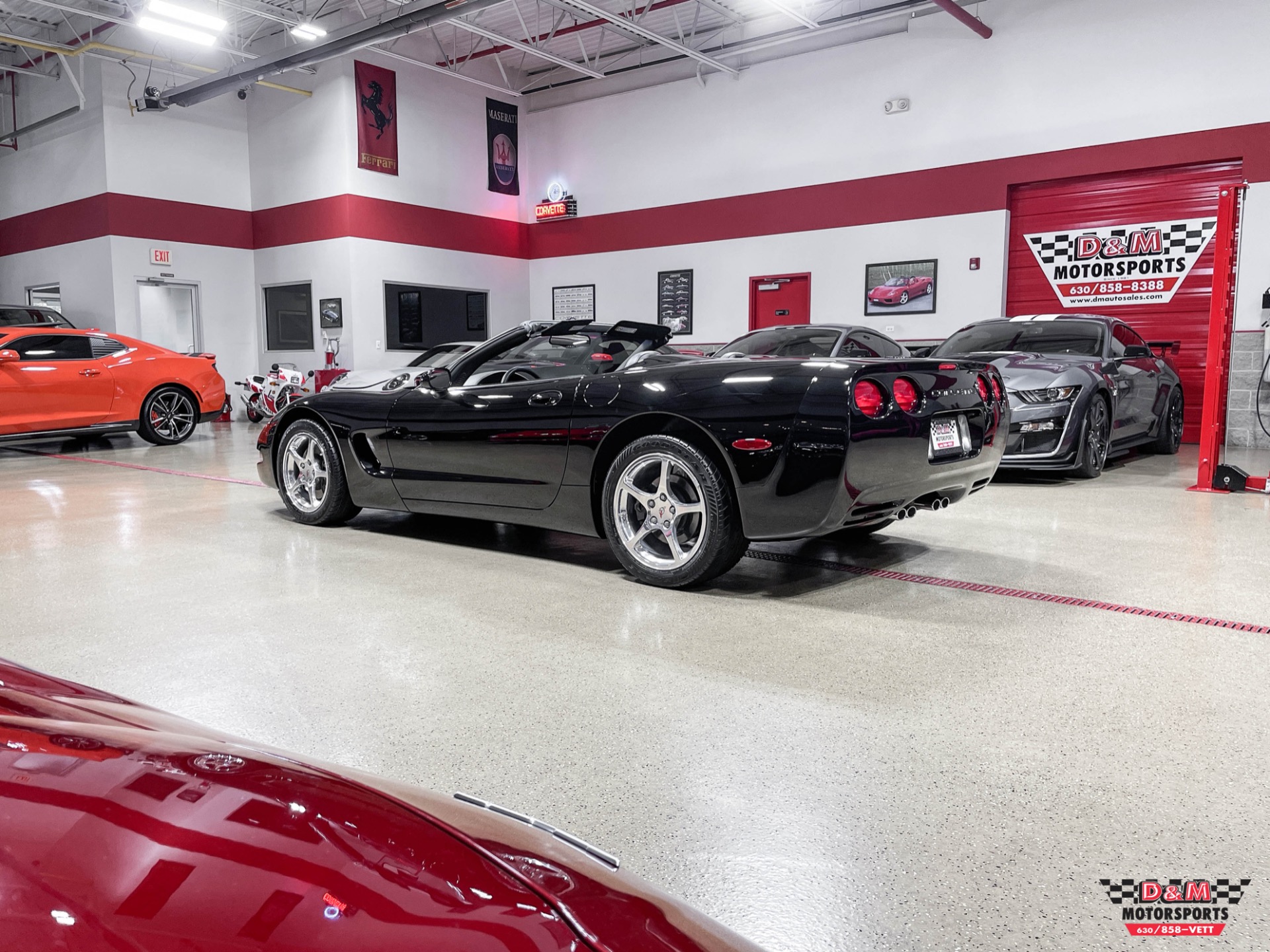 Used 2001 Chevrolet Corvette Convertible | St. Petersburg, FL