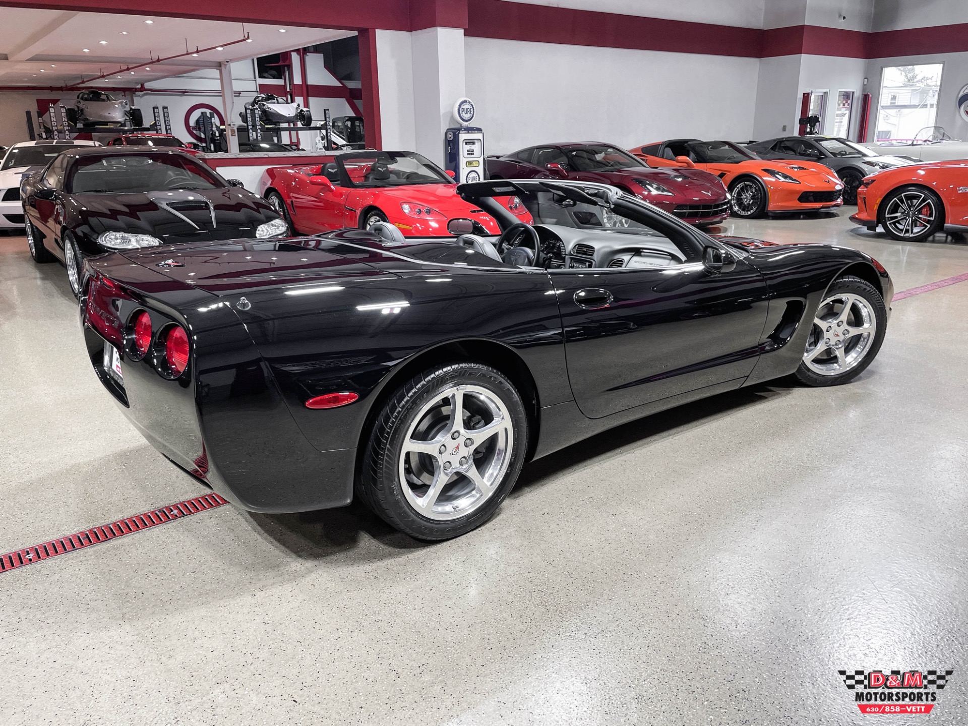 Used 2001 Chevrolet Corvette Convertible | St. Petersburg, FL
