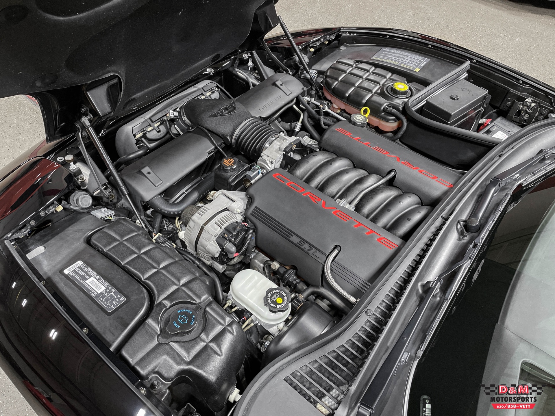 Used 2001 Chevrolet Corvette Convertible | St. Petersburg, FL