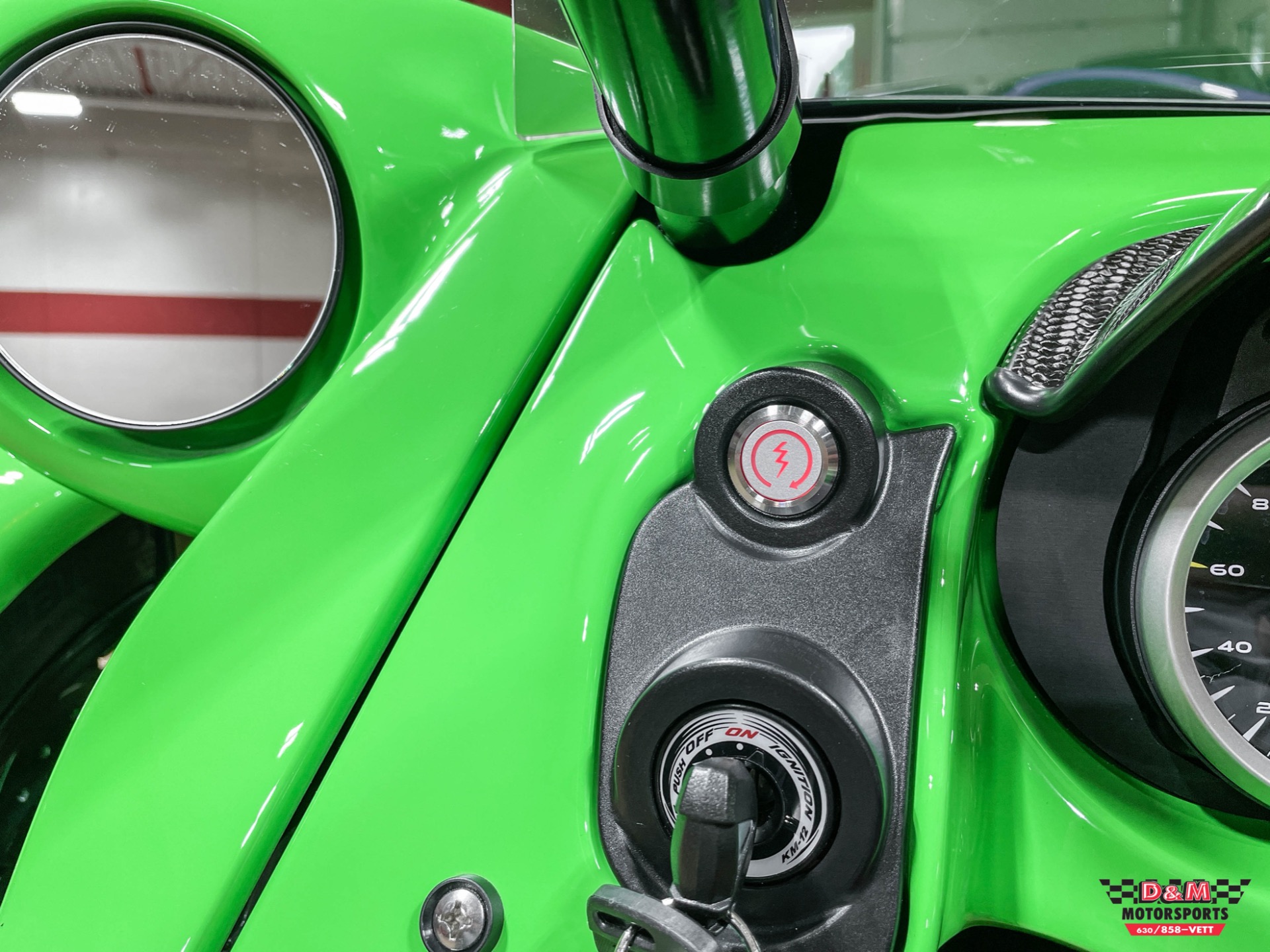 New 2023 Campagna T-Rex RR | St. Petersburg, FL