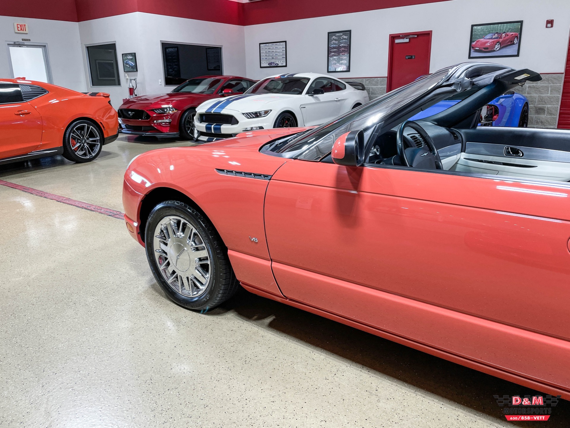 Used 2003 Ford Thunderbird Limited Edition 007 | St. Petersburg, FL