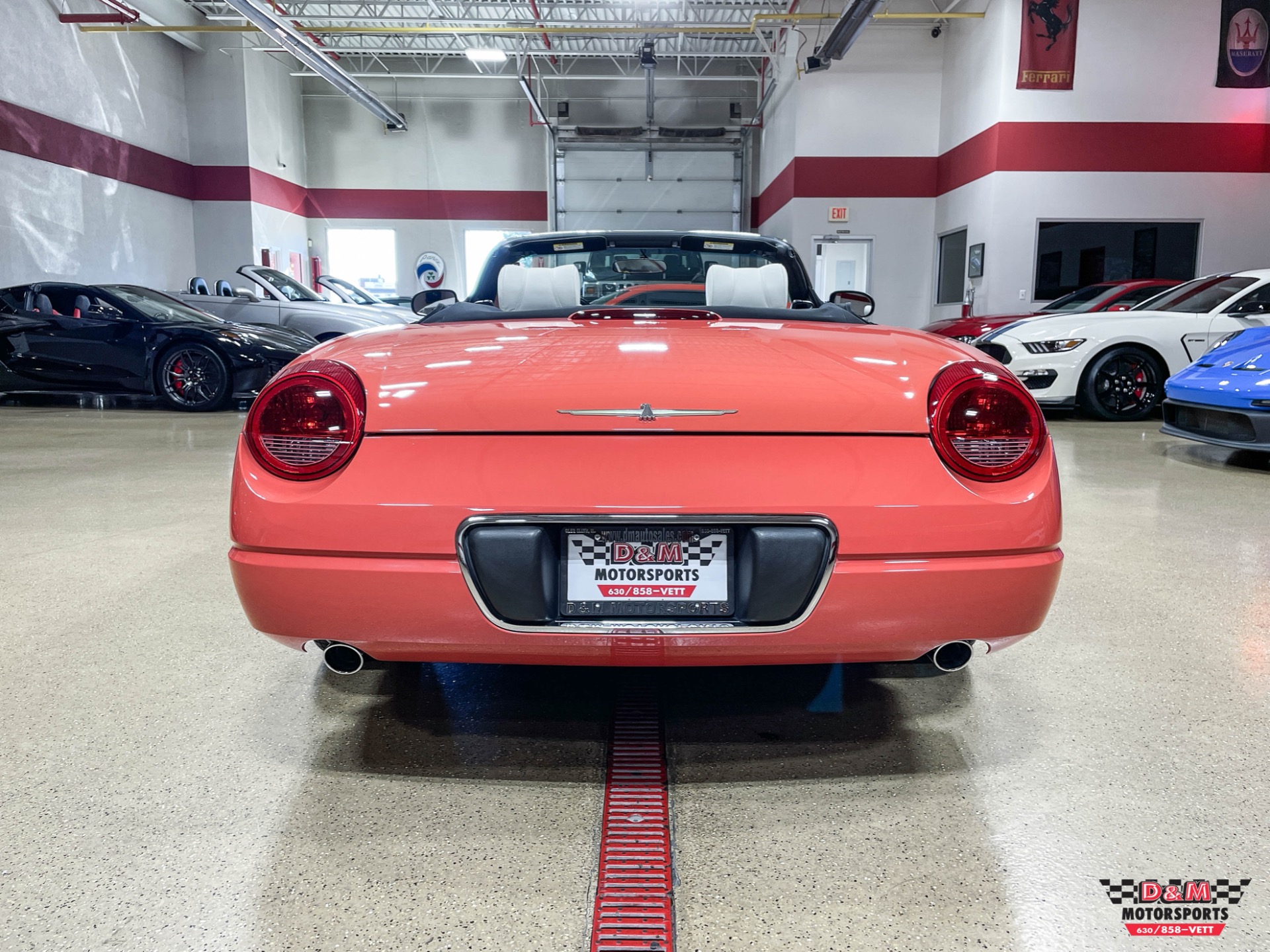 Used 2003 Ford Thunderbird Limited Edition 007 | St. Petersburg, FL
