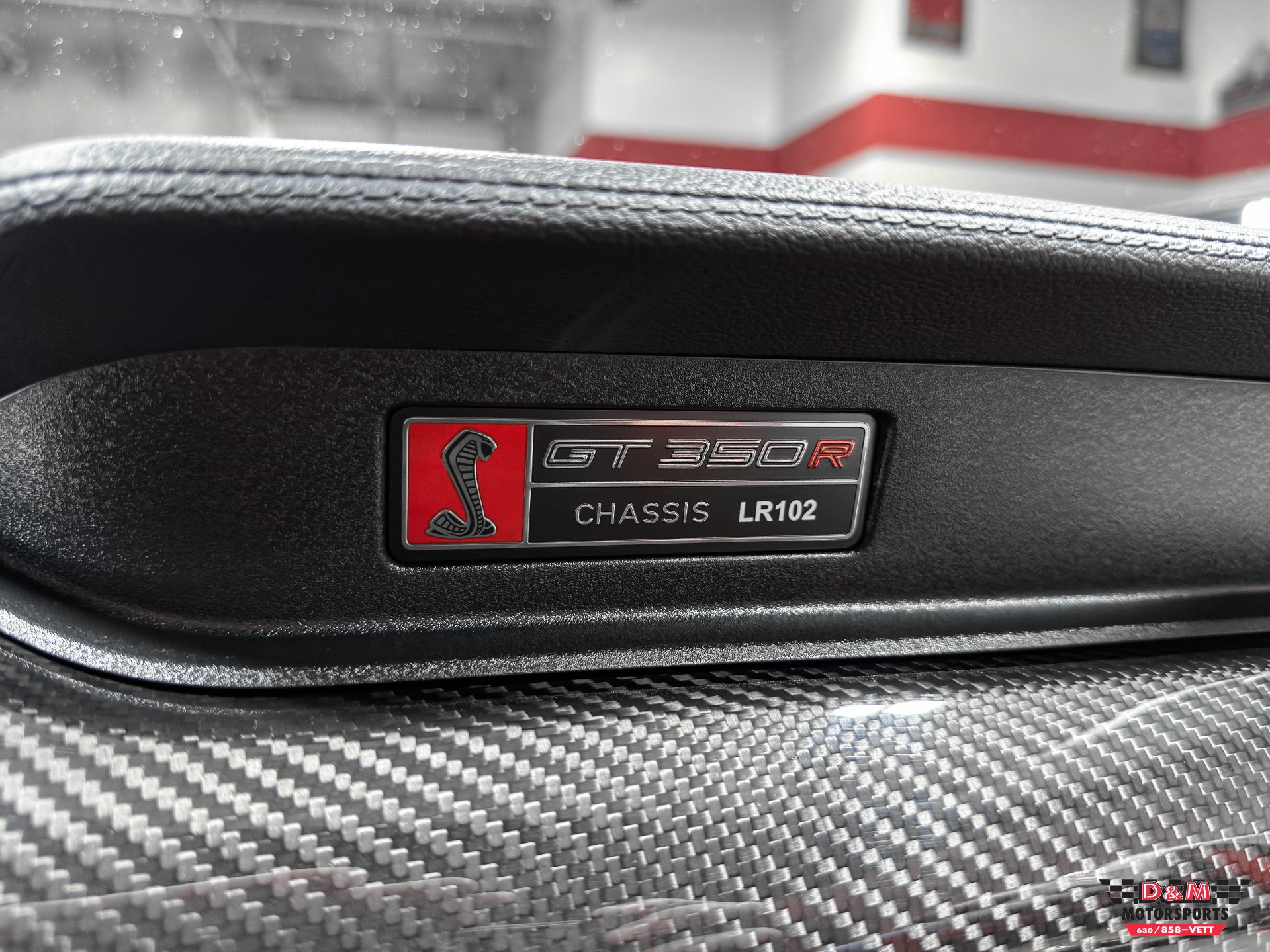 2020 Ford Mustang Shelby GT350R photo 15